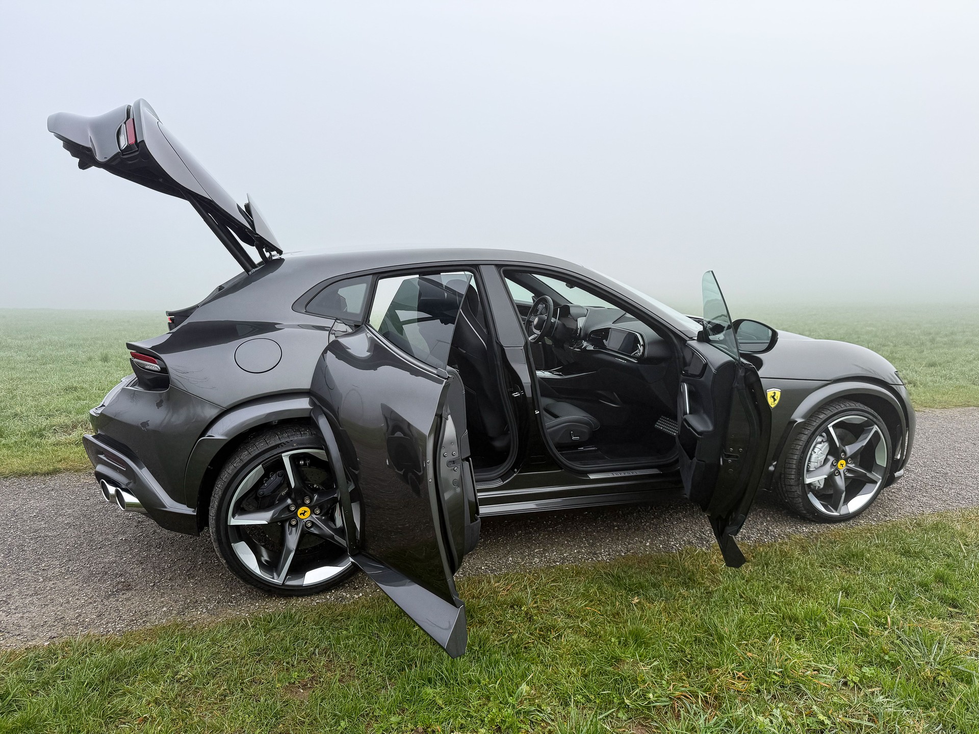 FERRARI PUROSANGUE-image-4