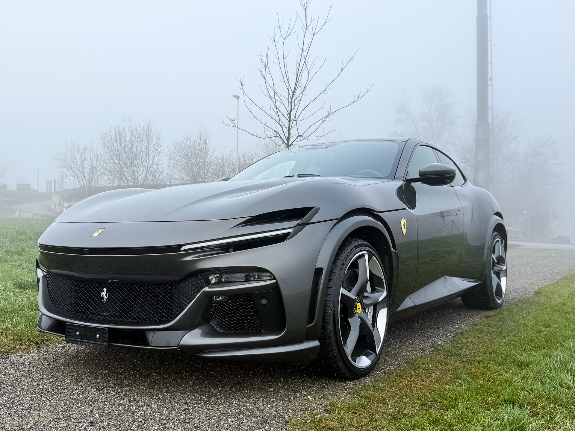 FERRARI PUROSANGUE-image-1