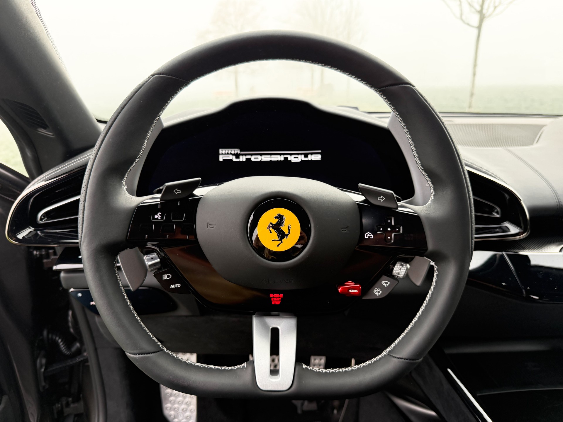 FERRARI PUROSANGUE-image-5