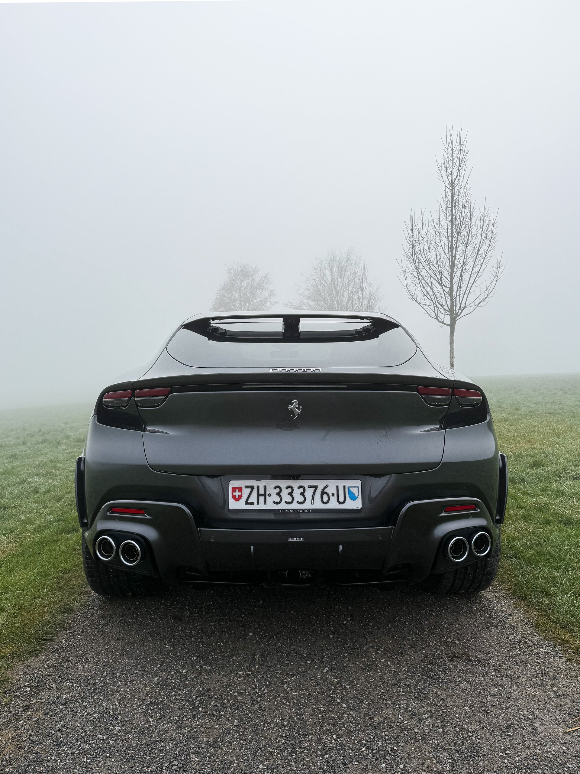 FERRARI PUROSANGUE-image-3