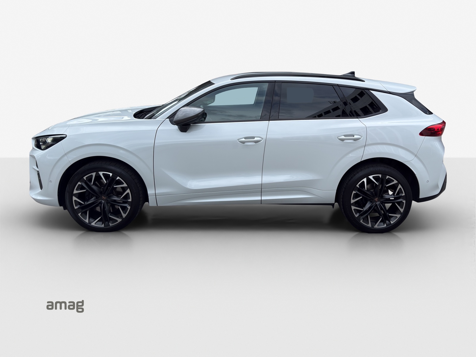 CUPRA Terramar 2.0 TSI DSG 4Drive VZ-showroom-element-1