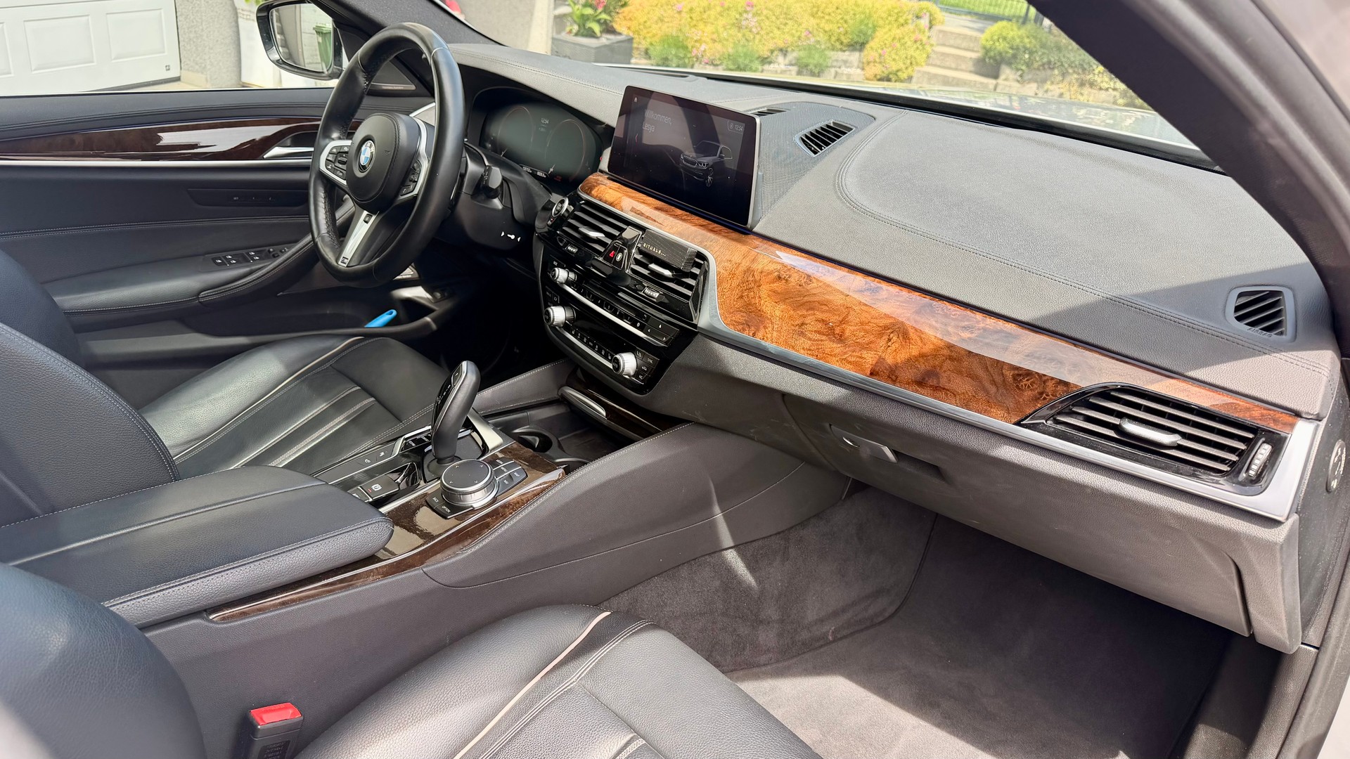 BMW 530i xDrive Luxury Line-image-12