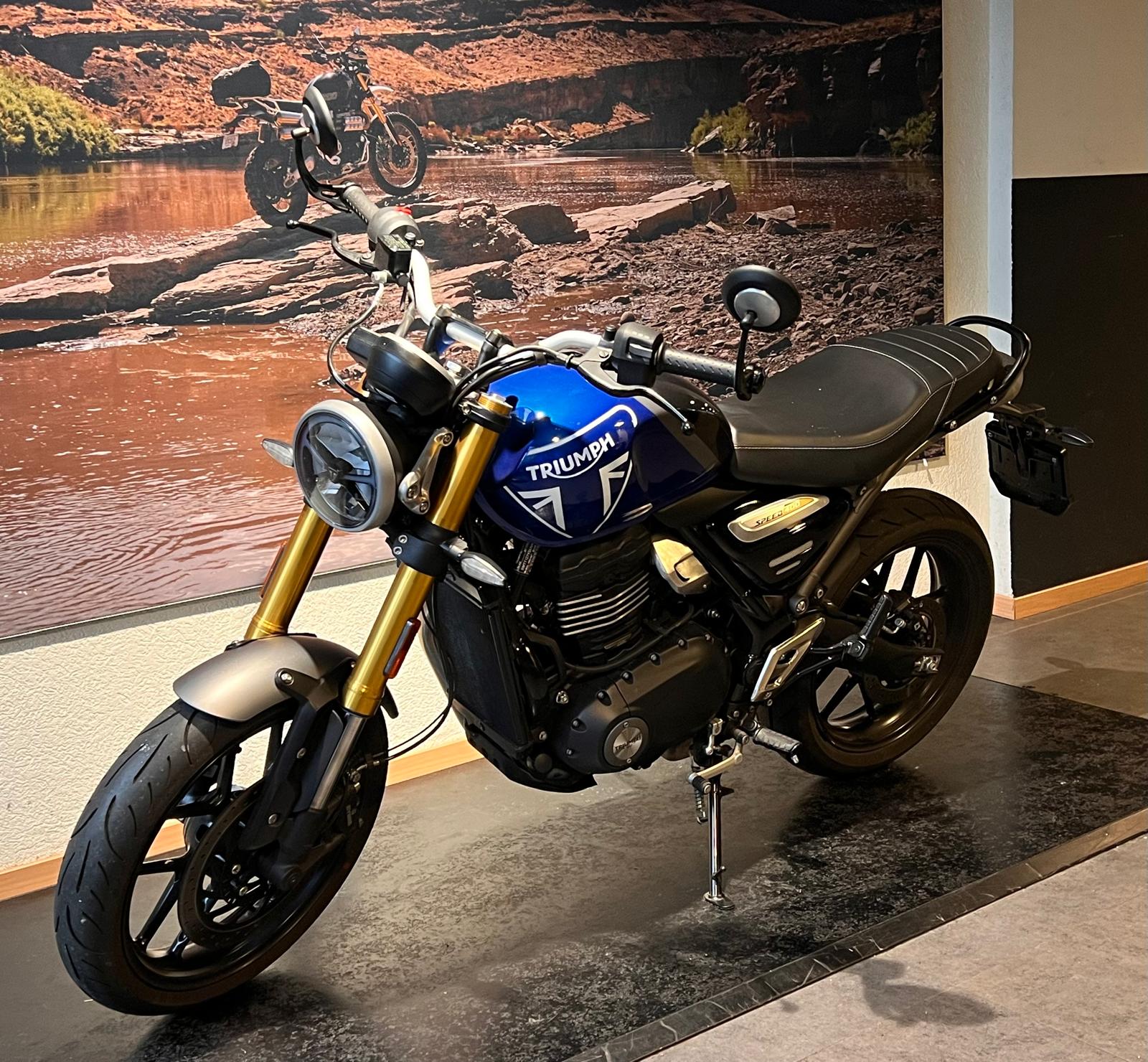 TRIUMPH Speed 400-image-2