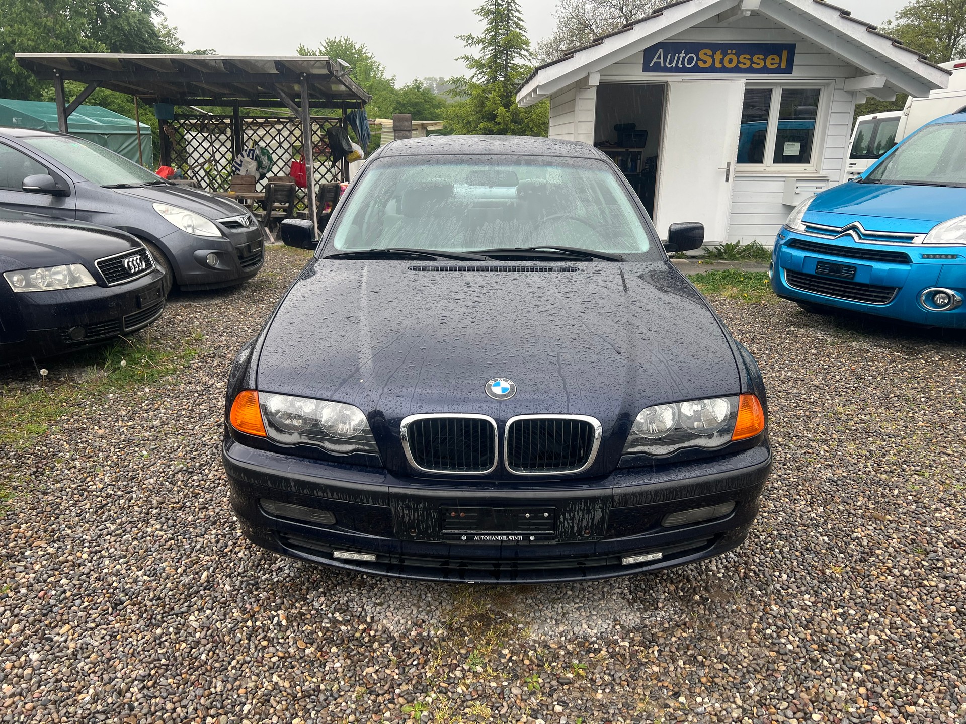 BMW 323i-image-1