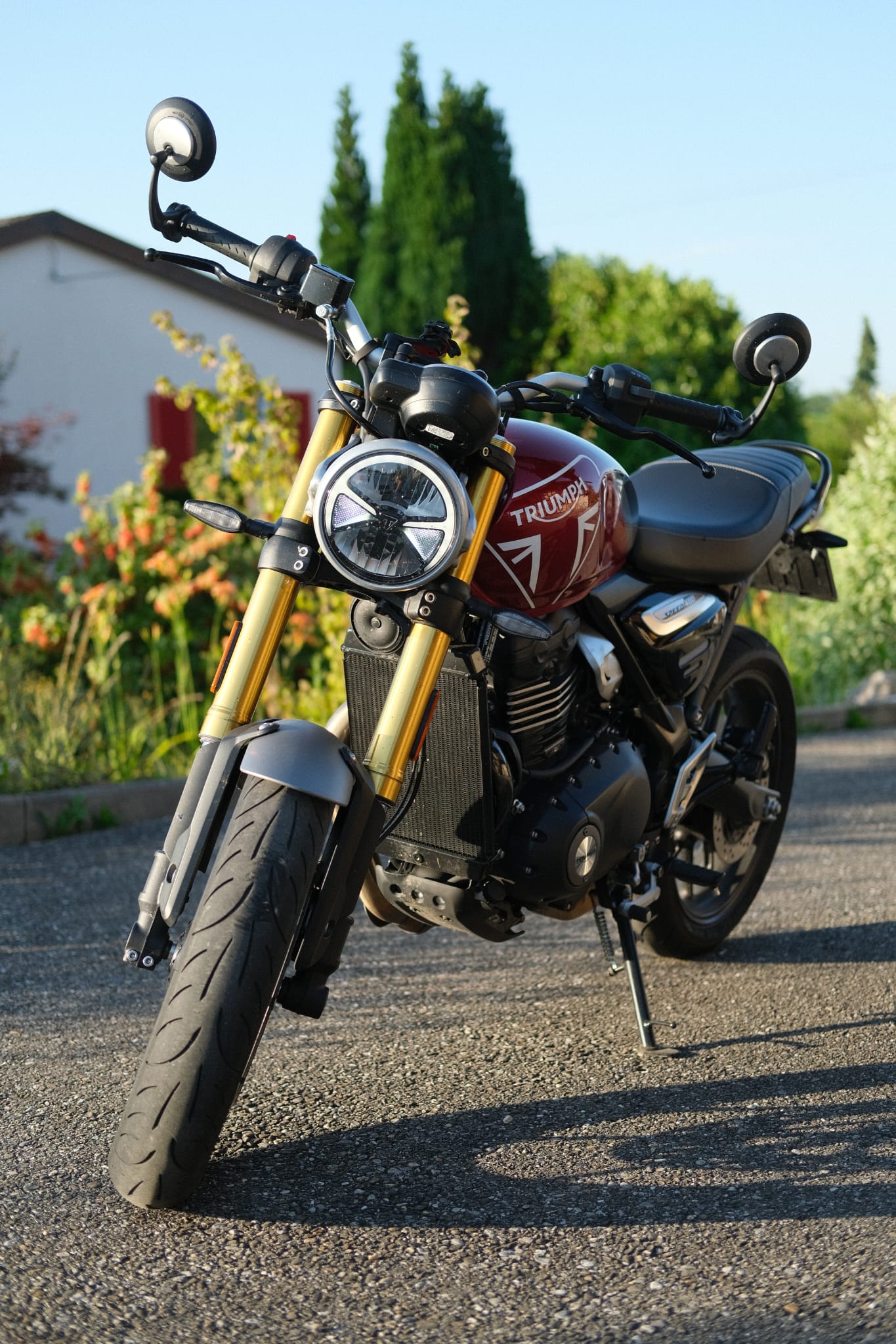 TRIUMPH Speed 400-image-0