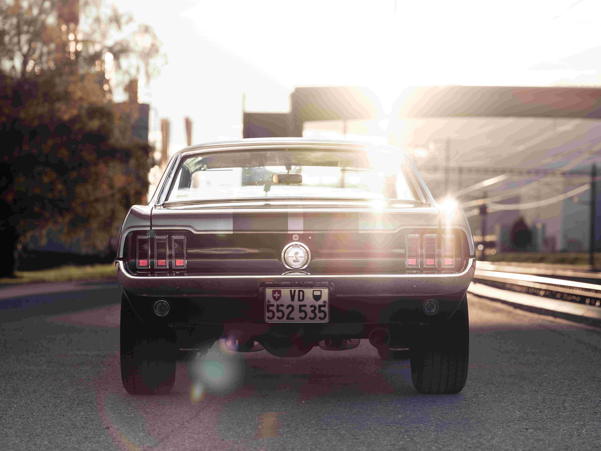 FORD Mustang Style Eleanor-image-1