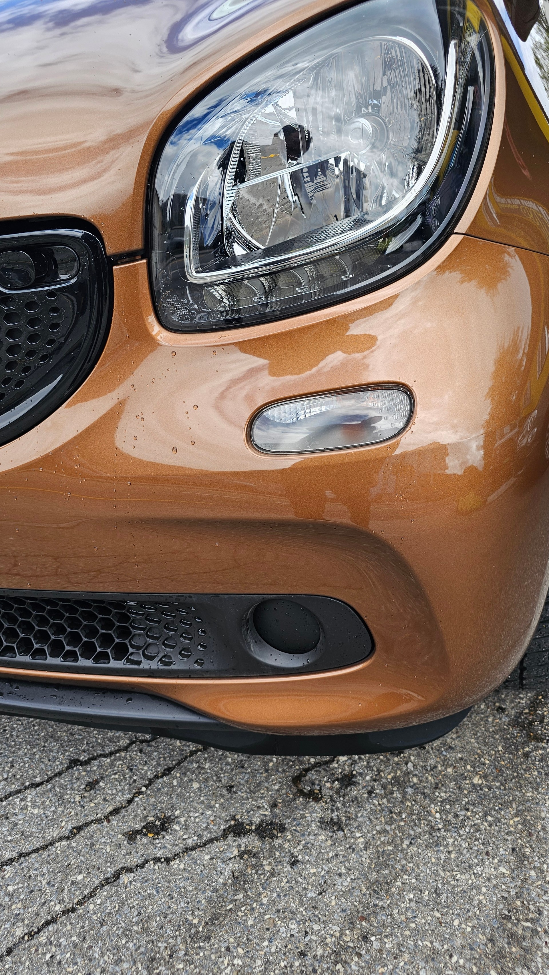 SMART forfour passion-image-4