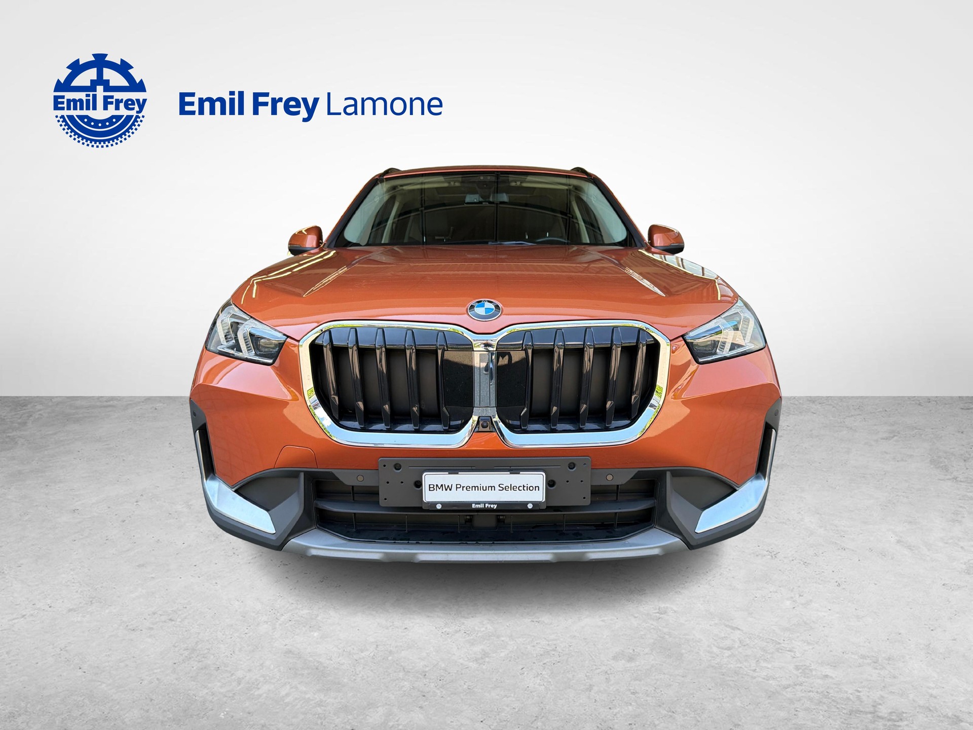 BMW X1 20d xDrive-image-8