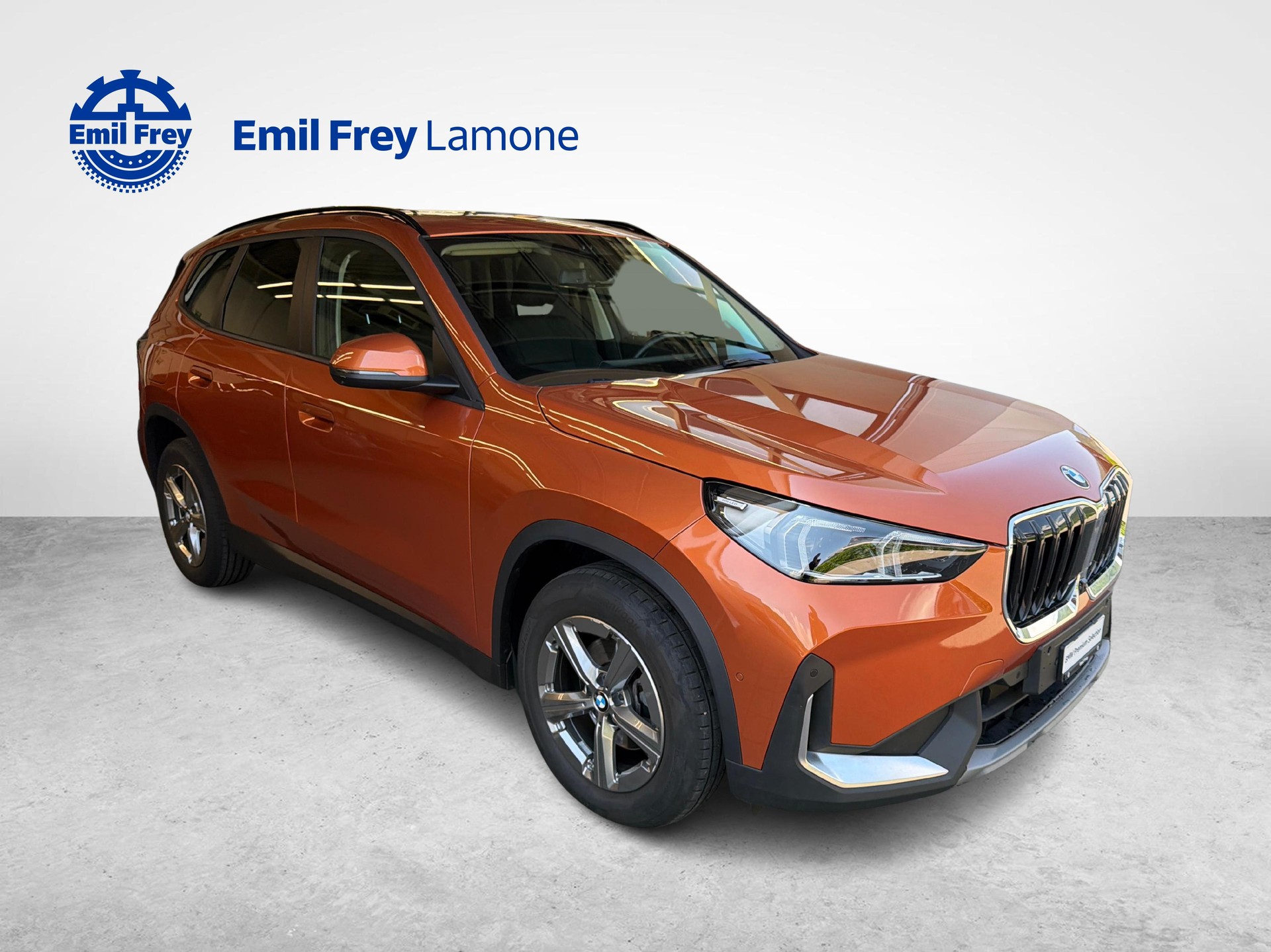 BMW X1 20d xDrive-image-7