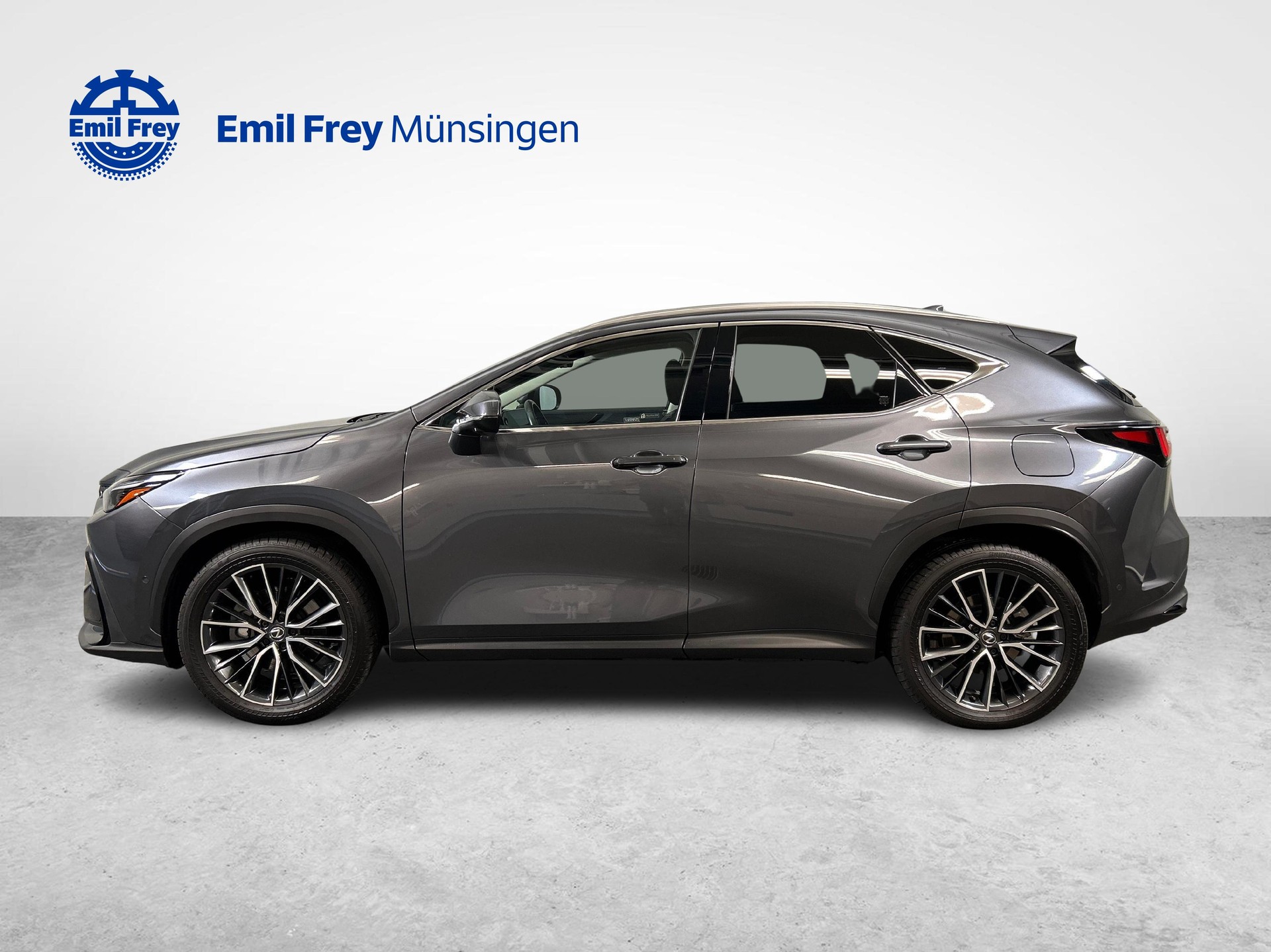 LEXUS NX 450h+ Excellence-image-5