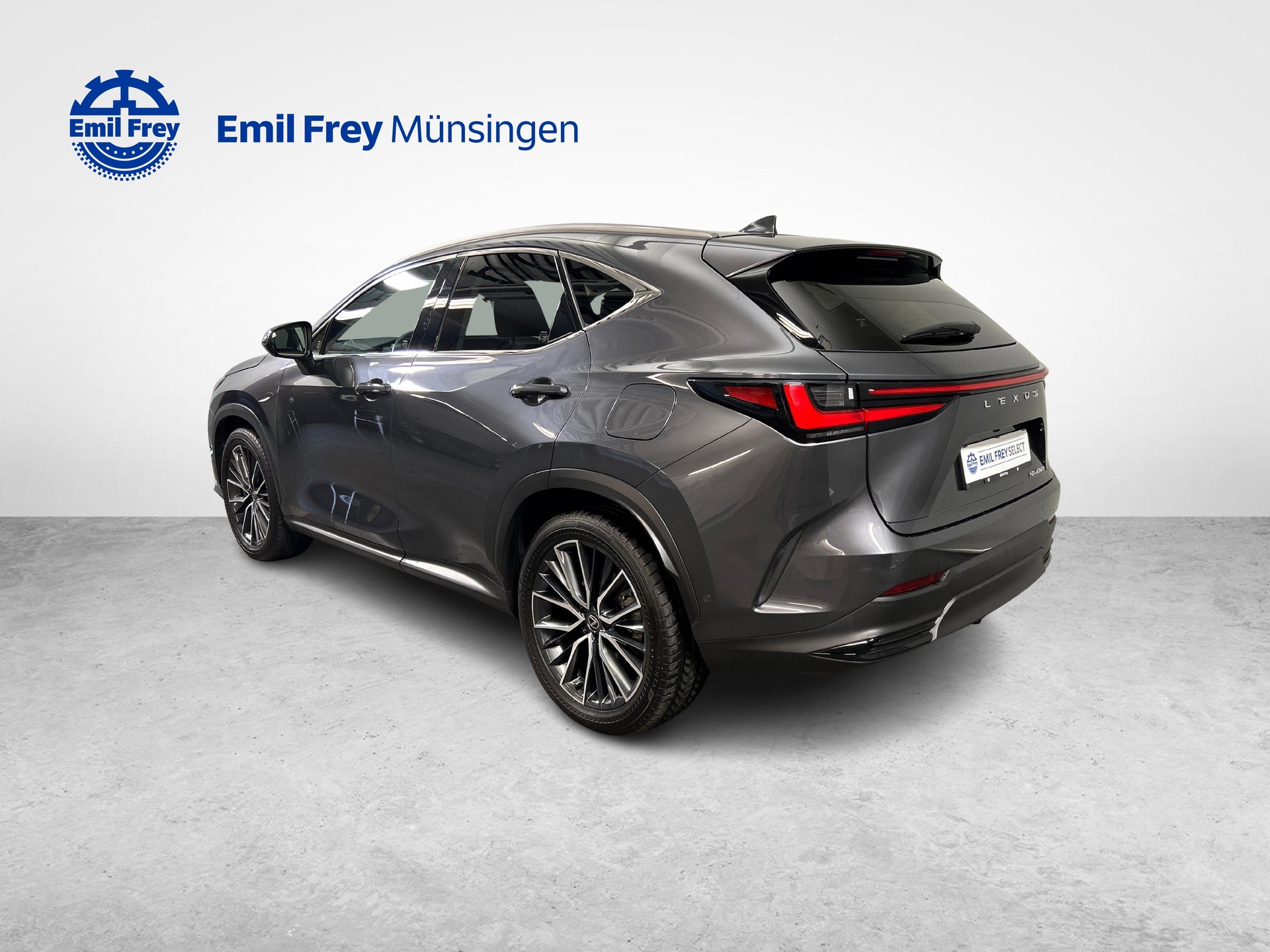 LEXUS NX 450h+ Excellence-image-11