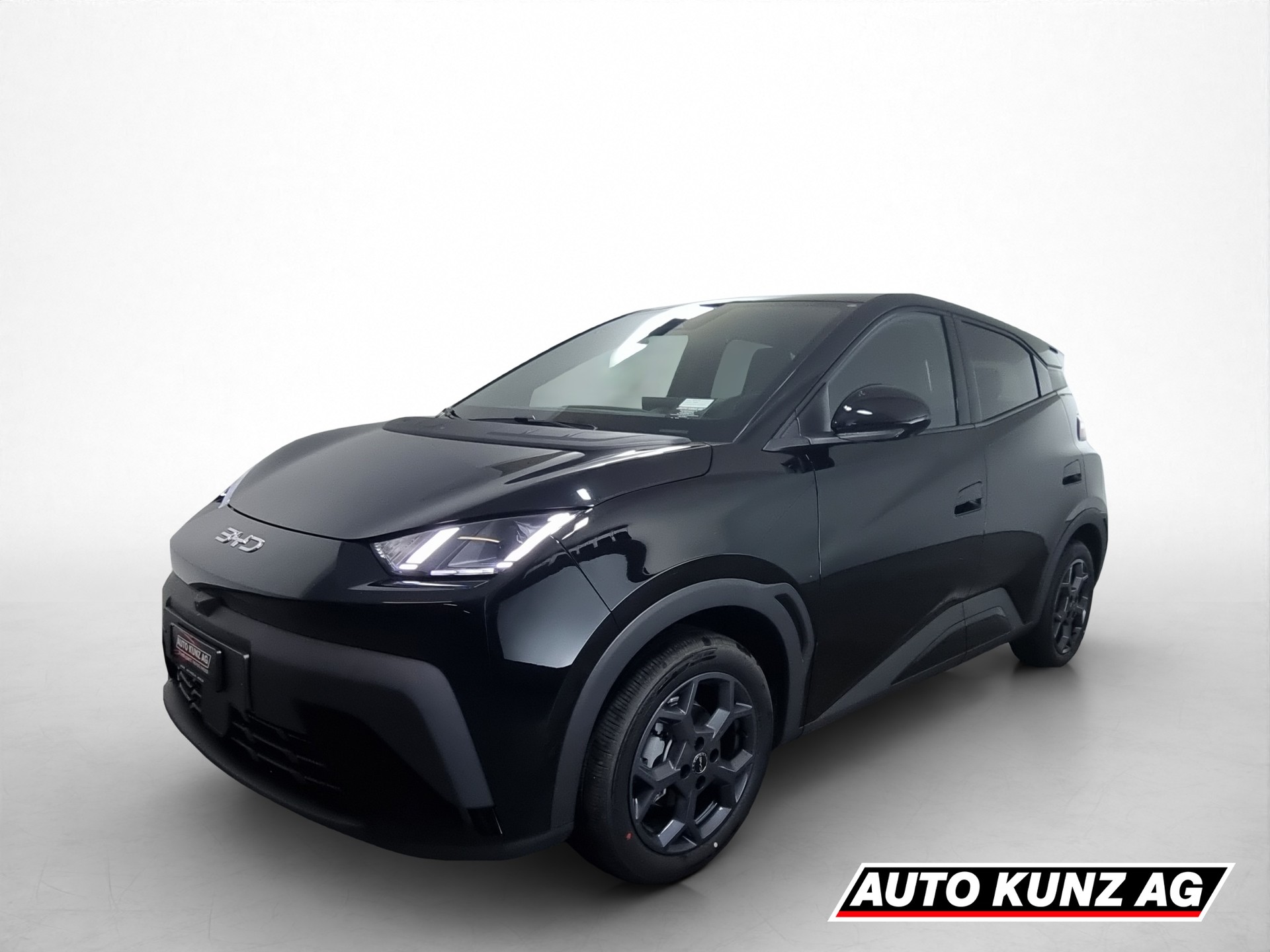 BYD Dolphin Surf 43kWh Comfort