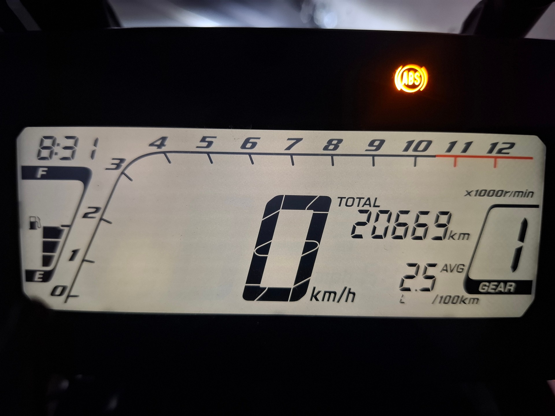 HONDA CRF 300 RL Rally-image-6