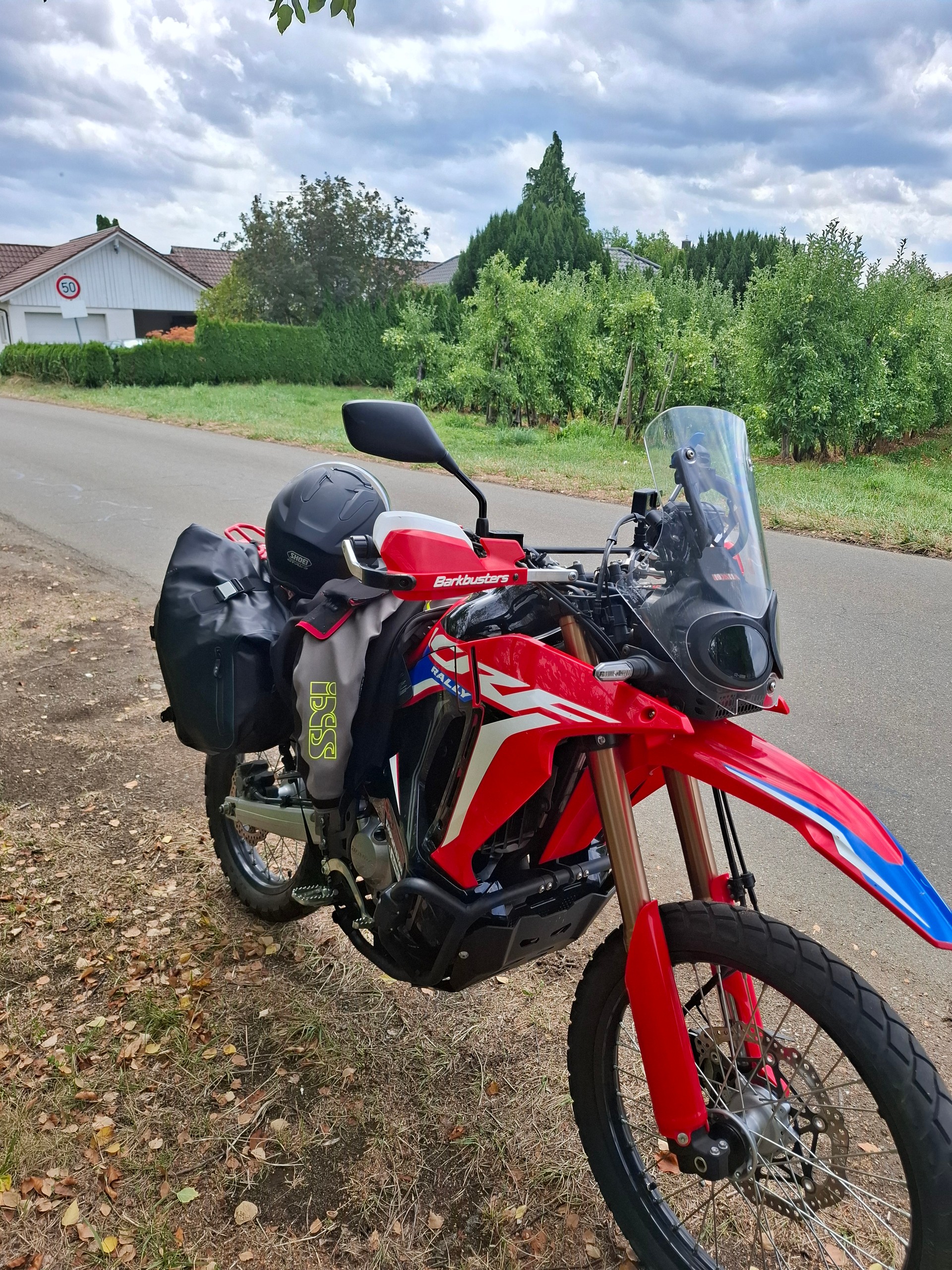 HONDA CRF 300 RL Rally-image-5