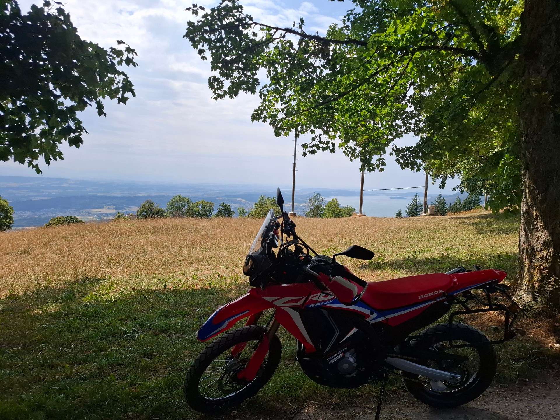 HONDA CRF 300 RL Rally-image-4