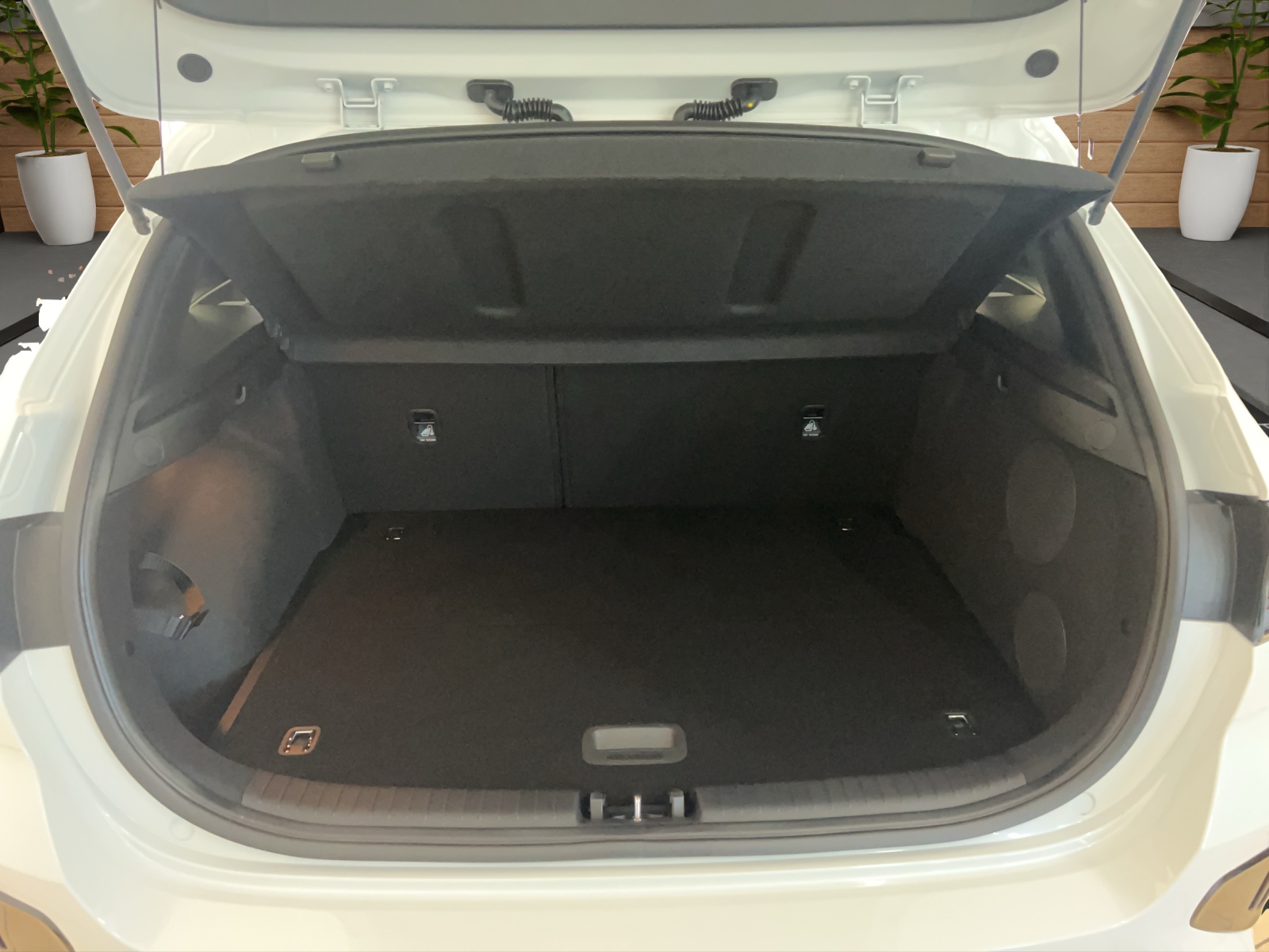 KIA Ceed 1.5 T-GDi GT-Line Edition DCT-image-8