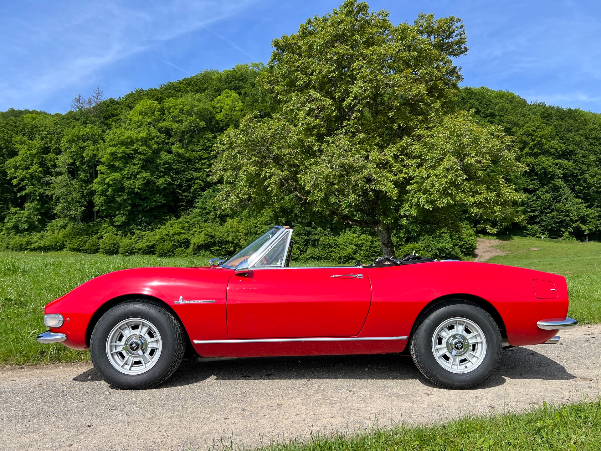 FIAT DINO Spider