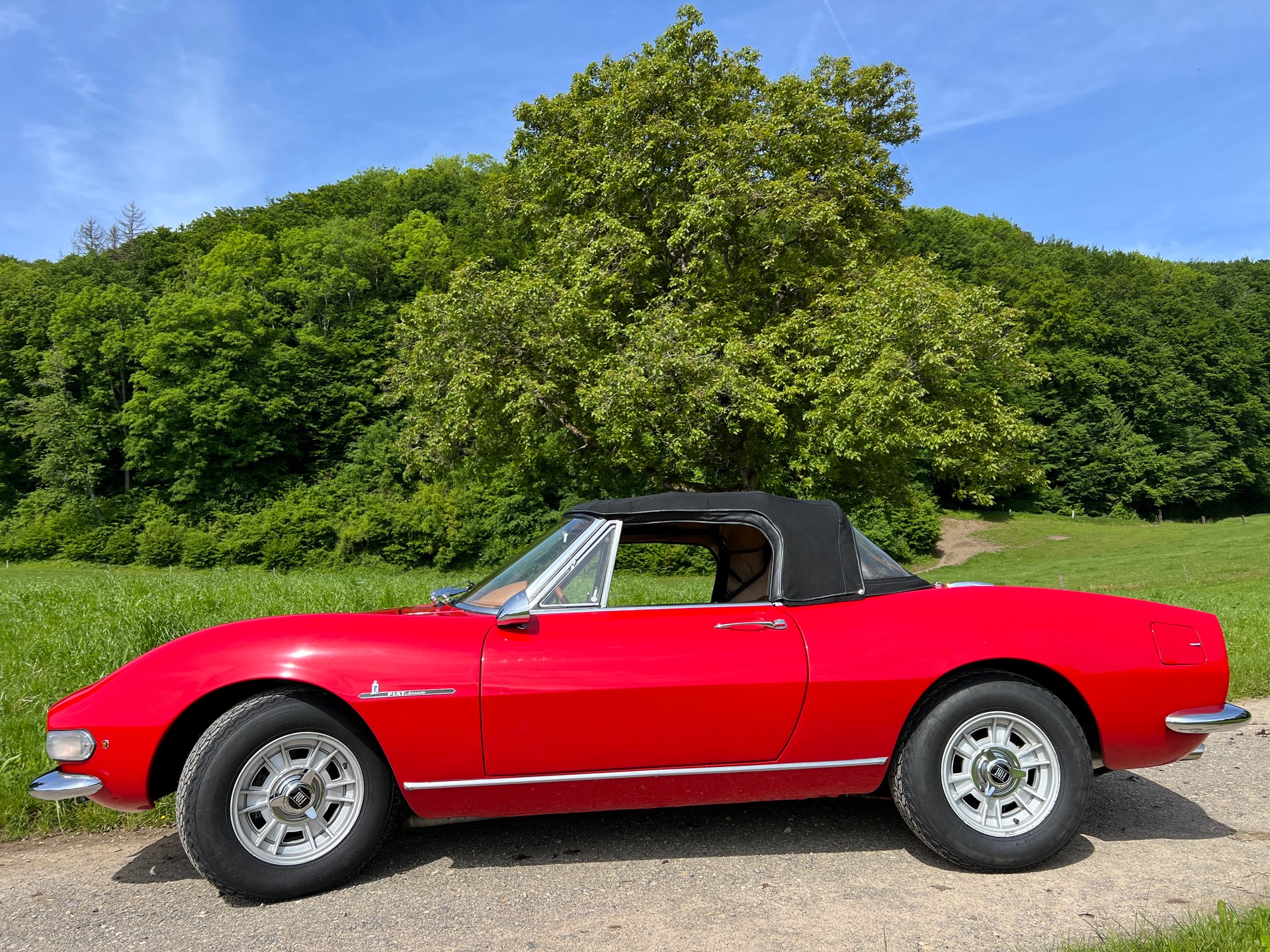 FIAT DINO Spider-image-16