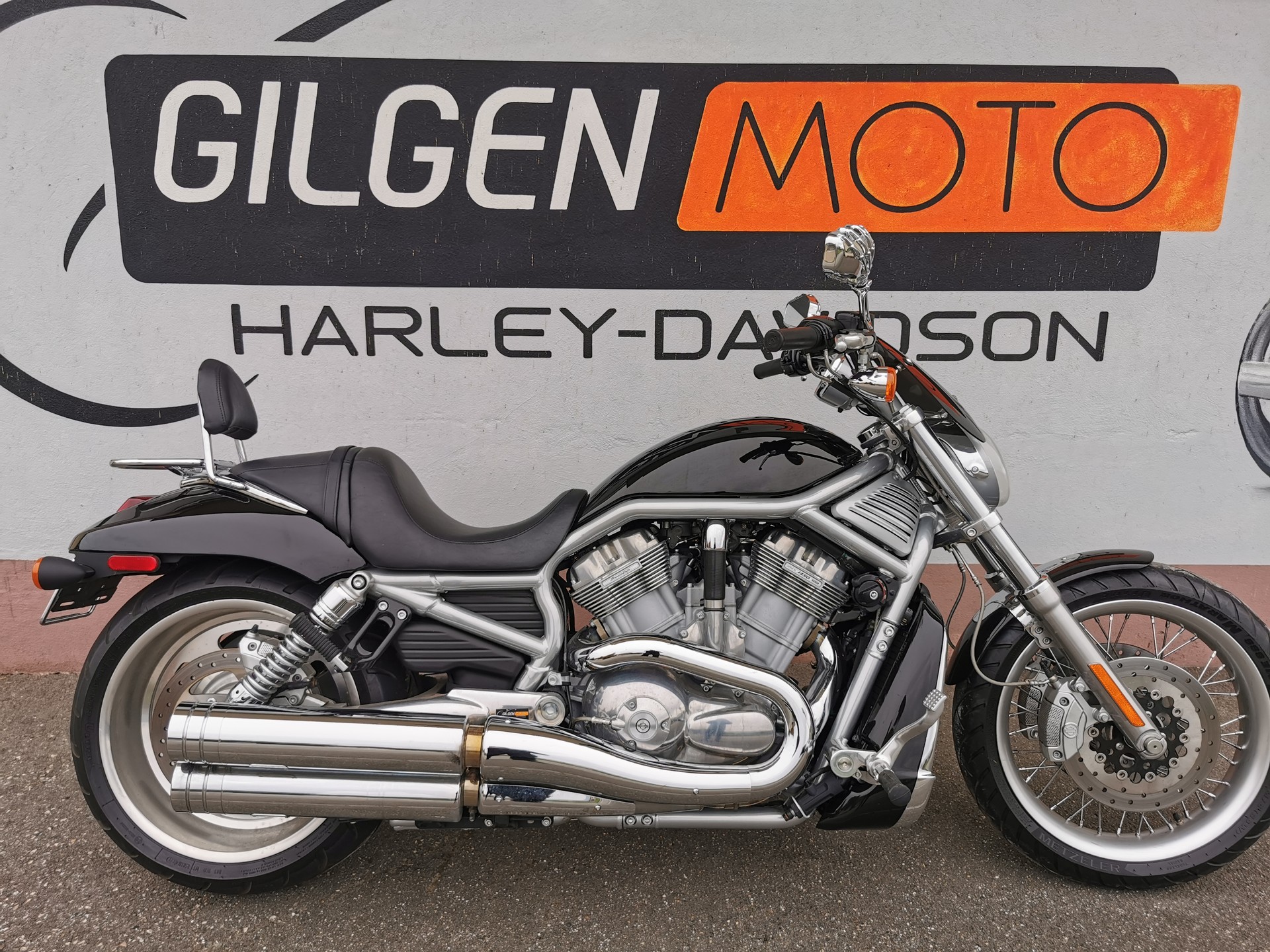 HARLEY-DAVIDSON VRSCX V-Rod