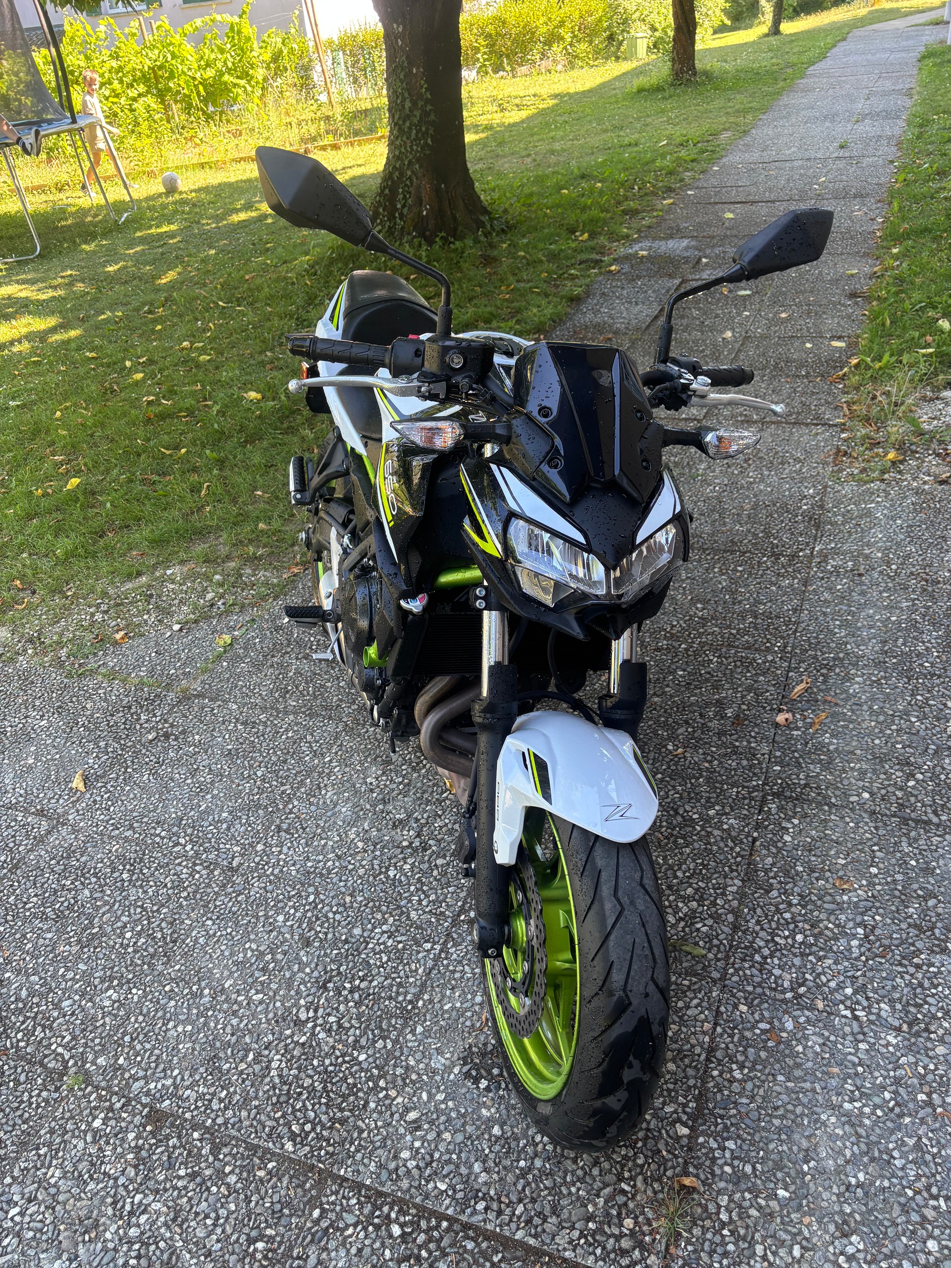 KAWASAKI Z 650 (35kW)-image-0