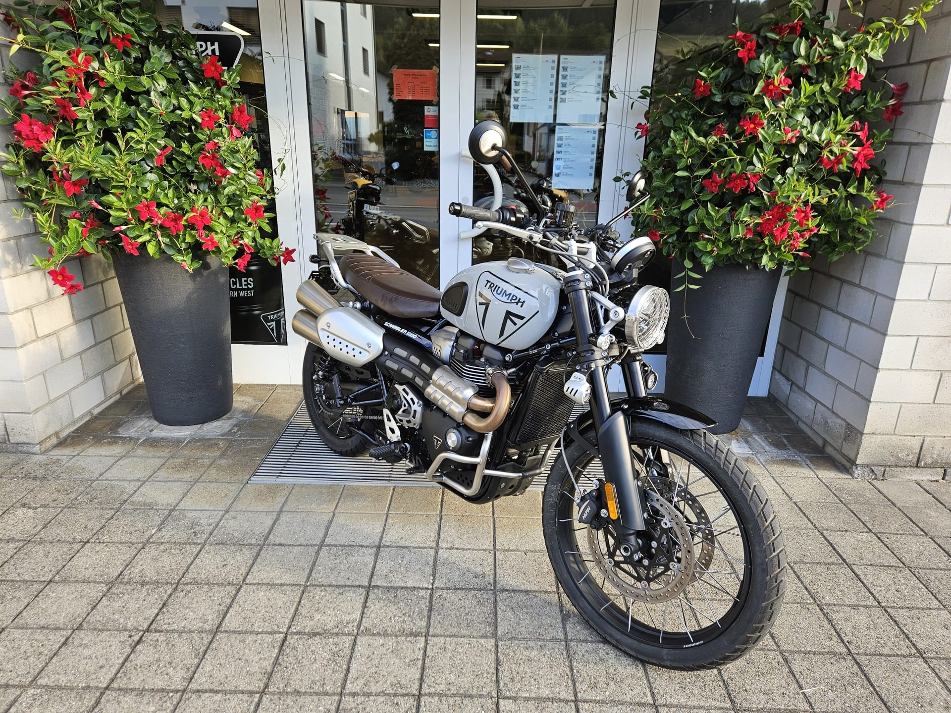TRIUMPH Scrambler 1200 X-image-3