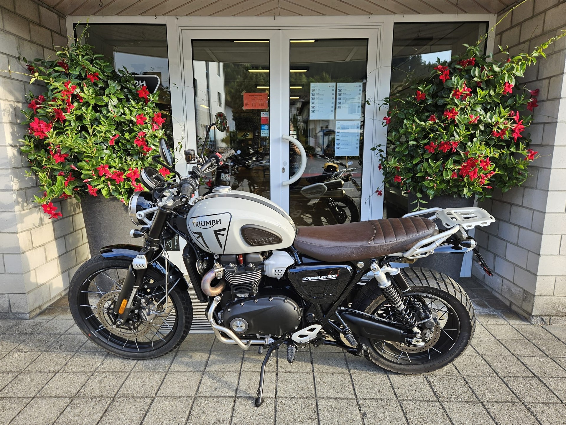 TRIUMPH Scrambler 1200 X-image-4