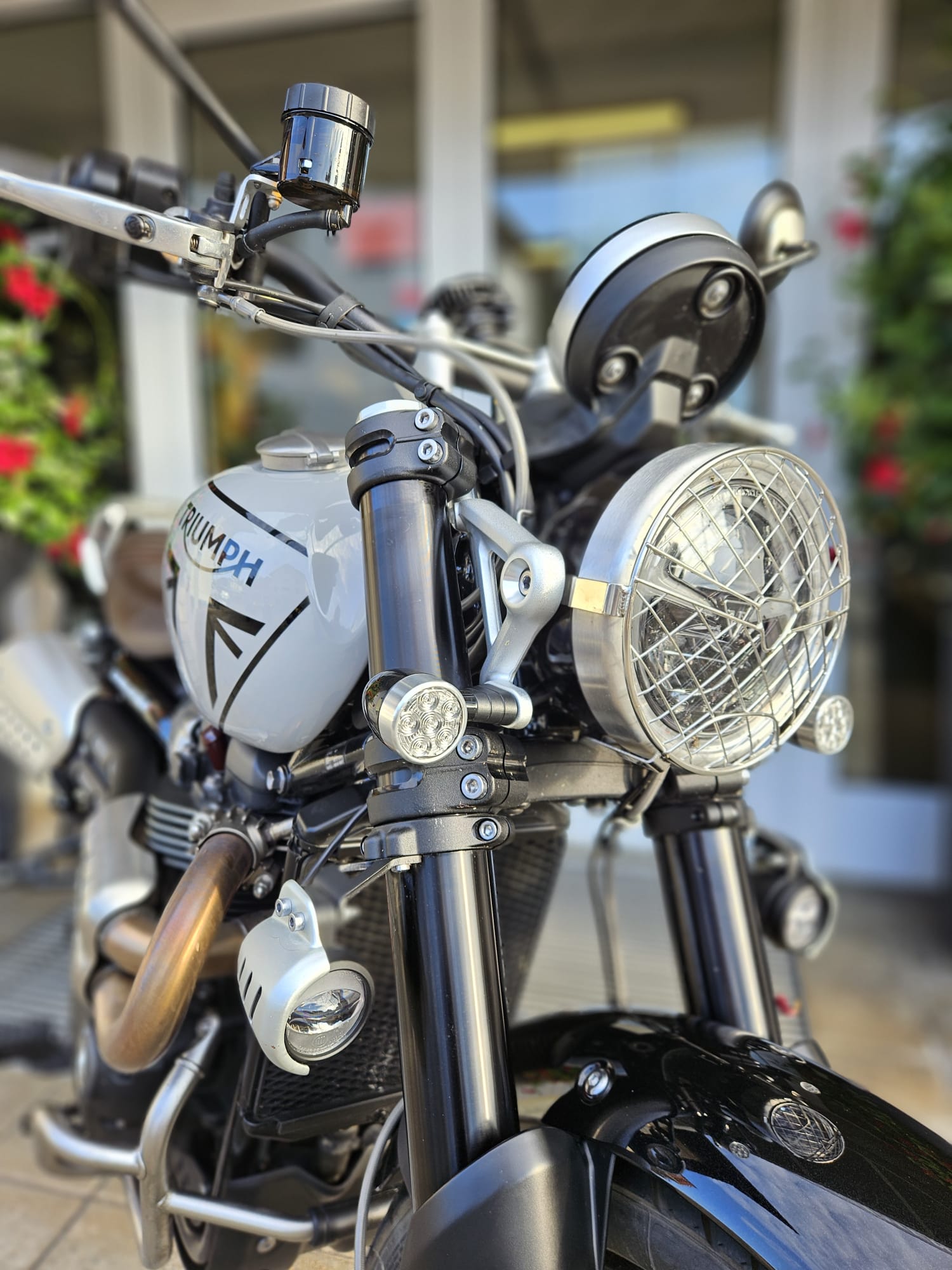 TRIUMPH Scrambler 1200 X-image-8