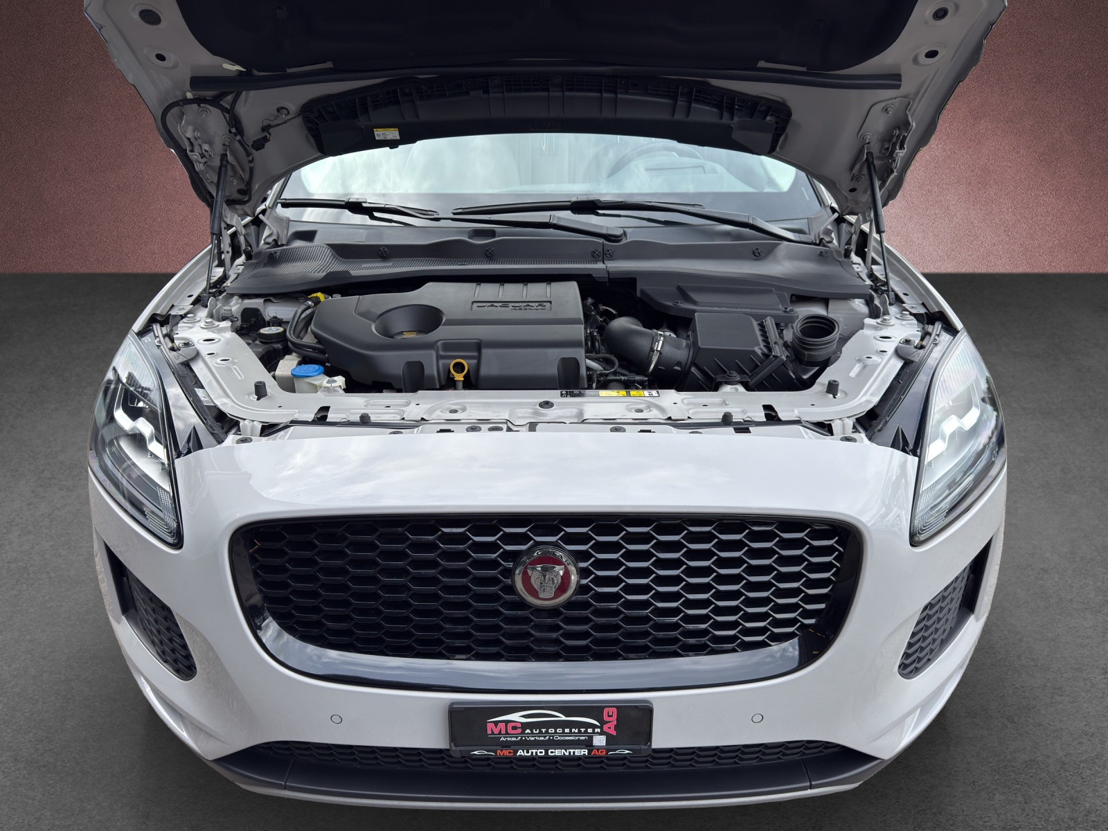 JAGUAR E-Pace 2.0d D240 SE AWD Automatik-image-14