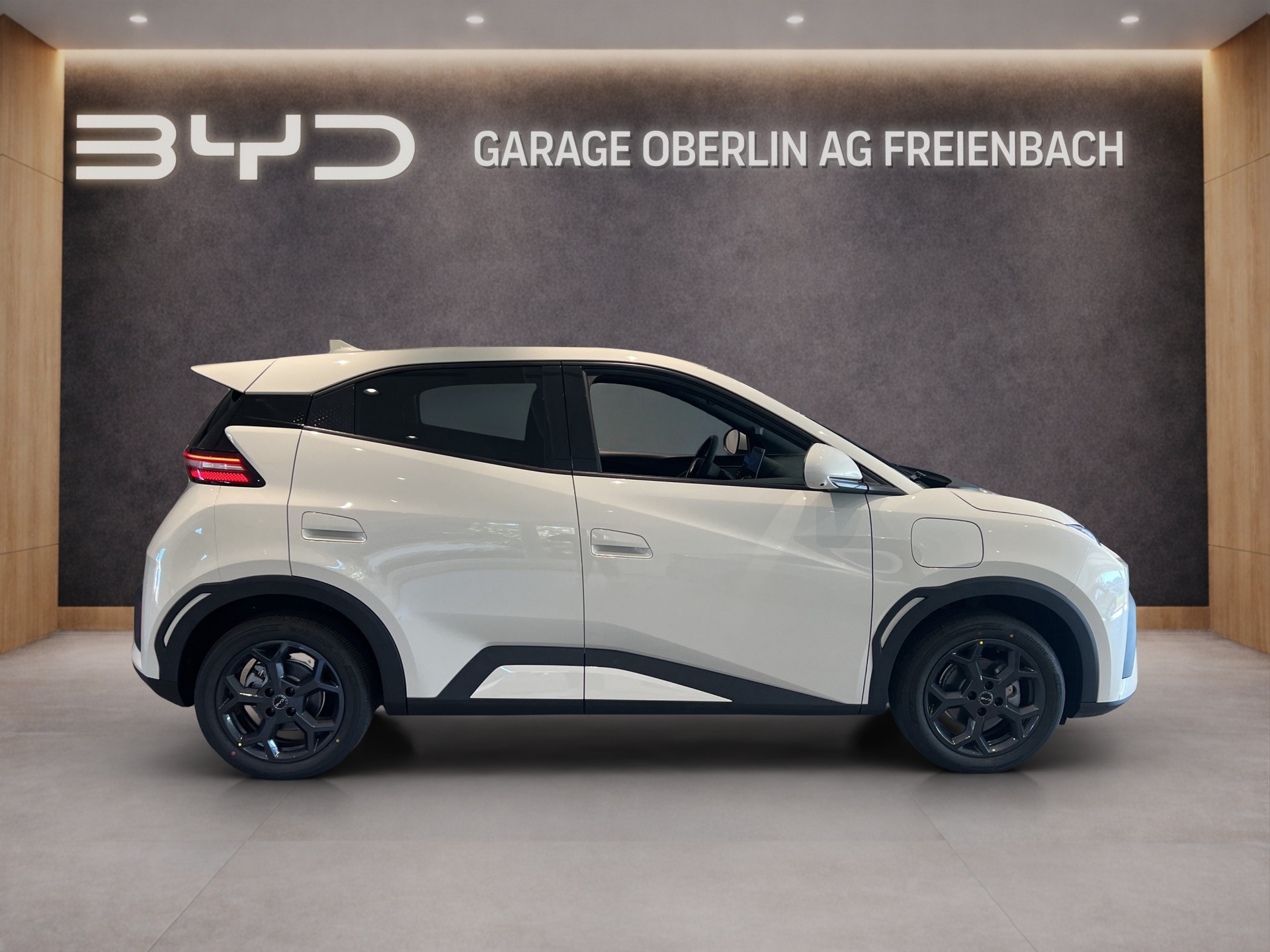 BYD Dolphin Surf Comfort-image-5