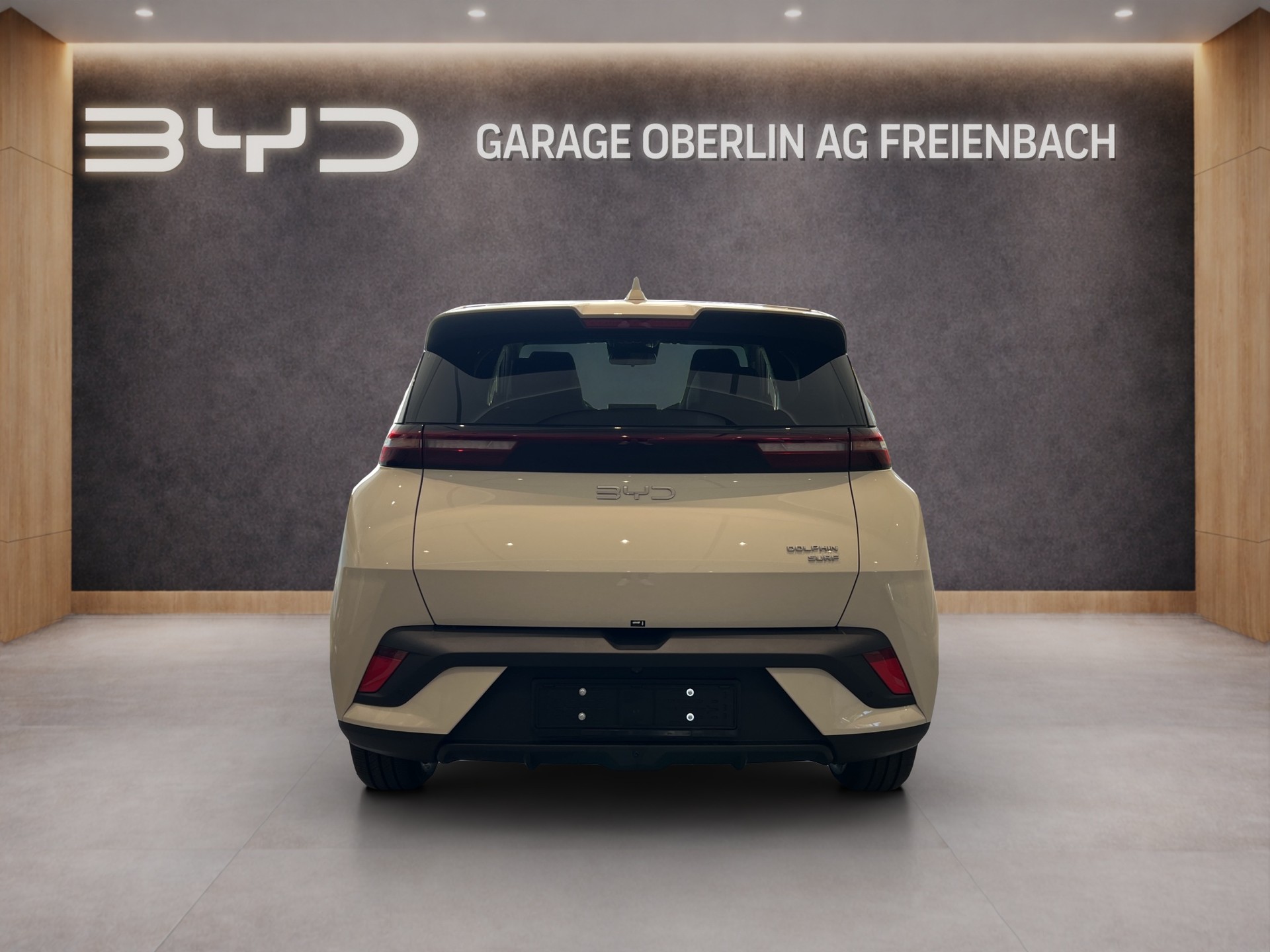 BYD Dolphin Surf Comfort-showroom-element-3