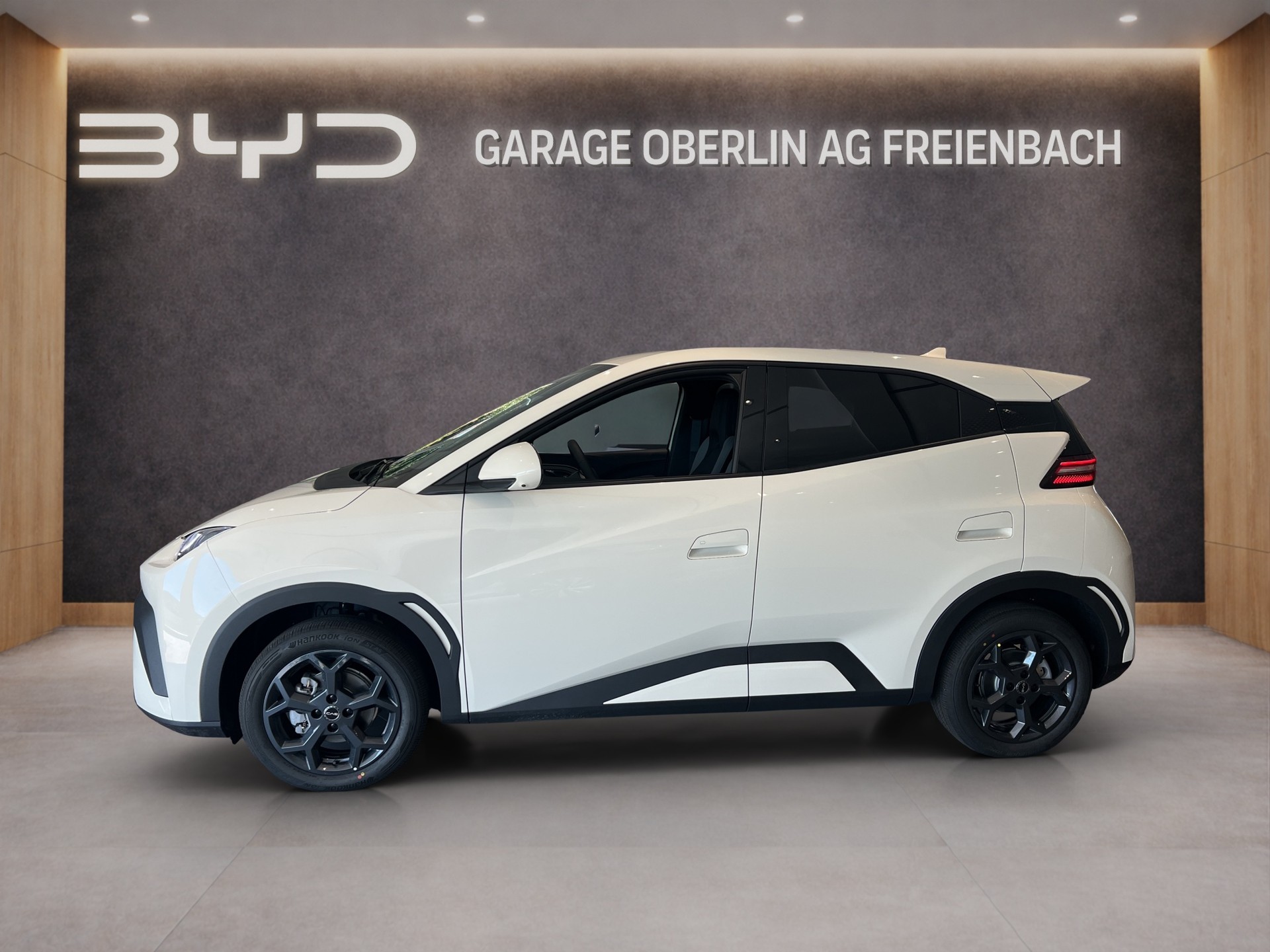BYD Dolphin Surf Comfort-showroom-element-1