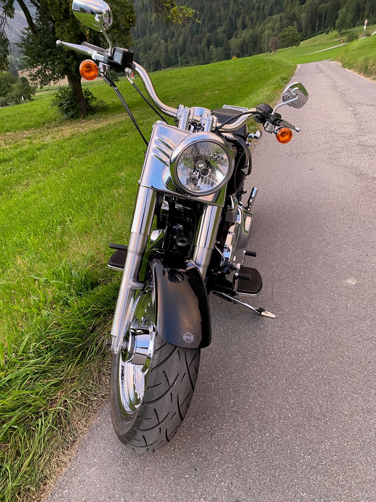 HARLEY-DAVIDSON FLSTF Fat Boy ABS-image-3