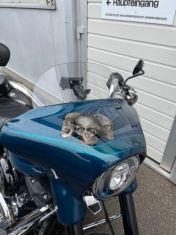 HARLEY-DAVIDSON FLSB Sport Glide 107 ABS-image-3