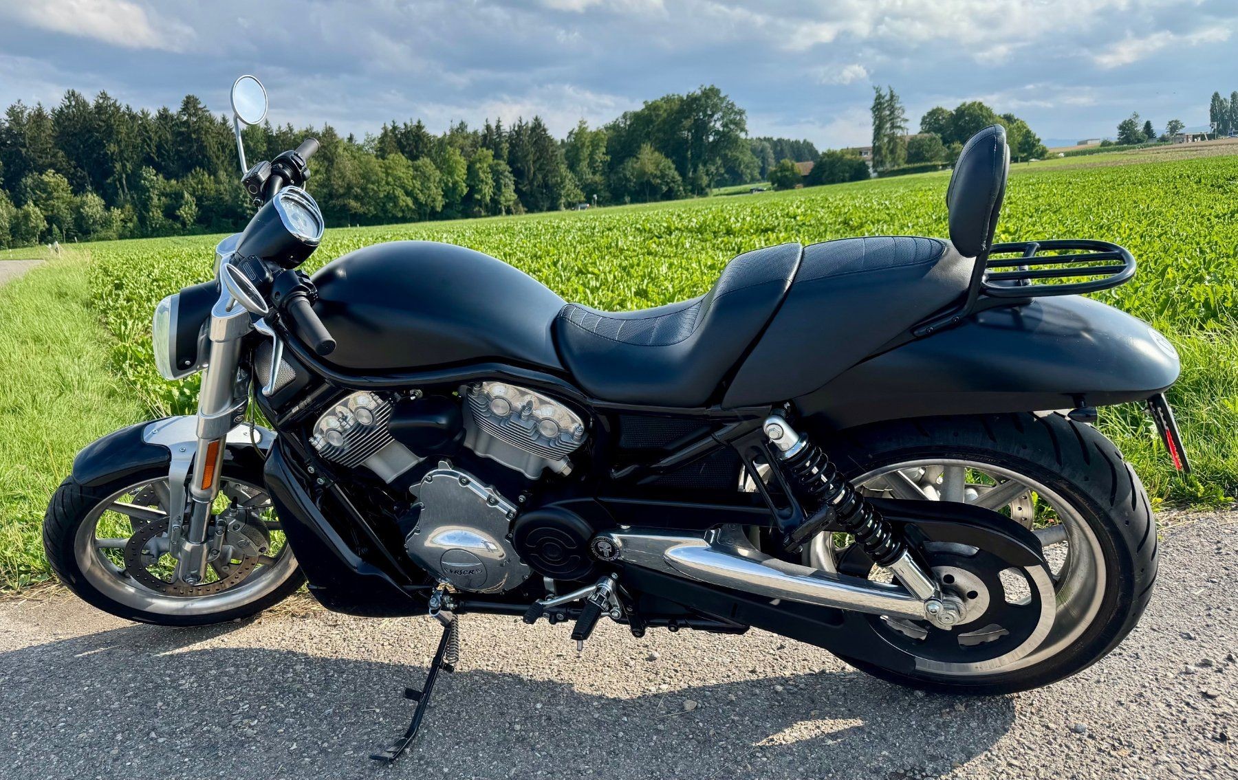 HARLEY-DAVIDSON VRSCR Street Rod-image-1