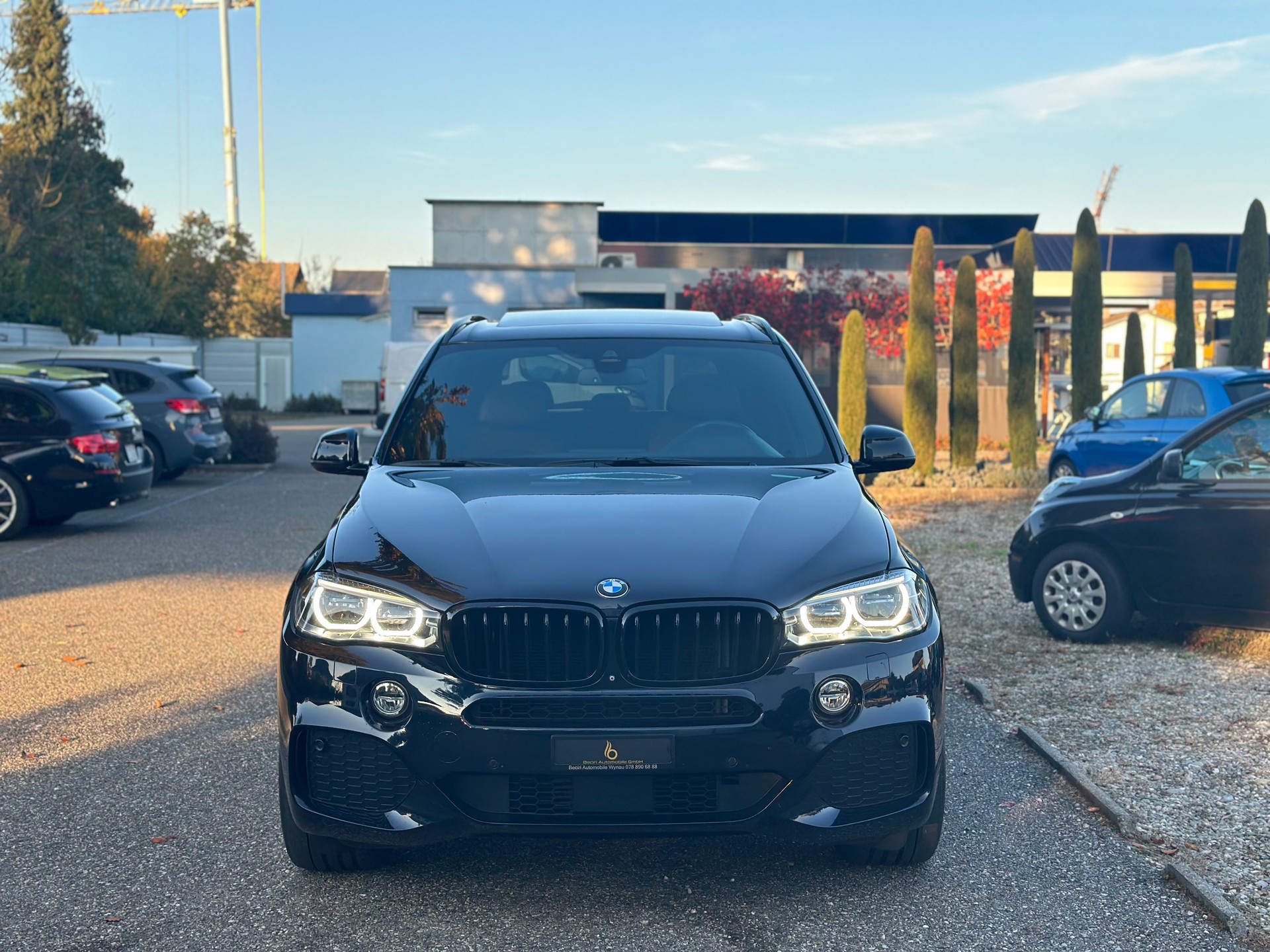 BMW X5 xDrive 30d Steptronic-image-1