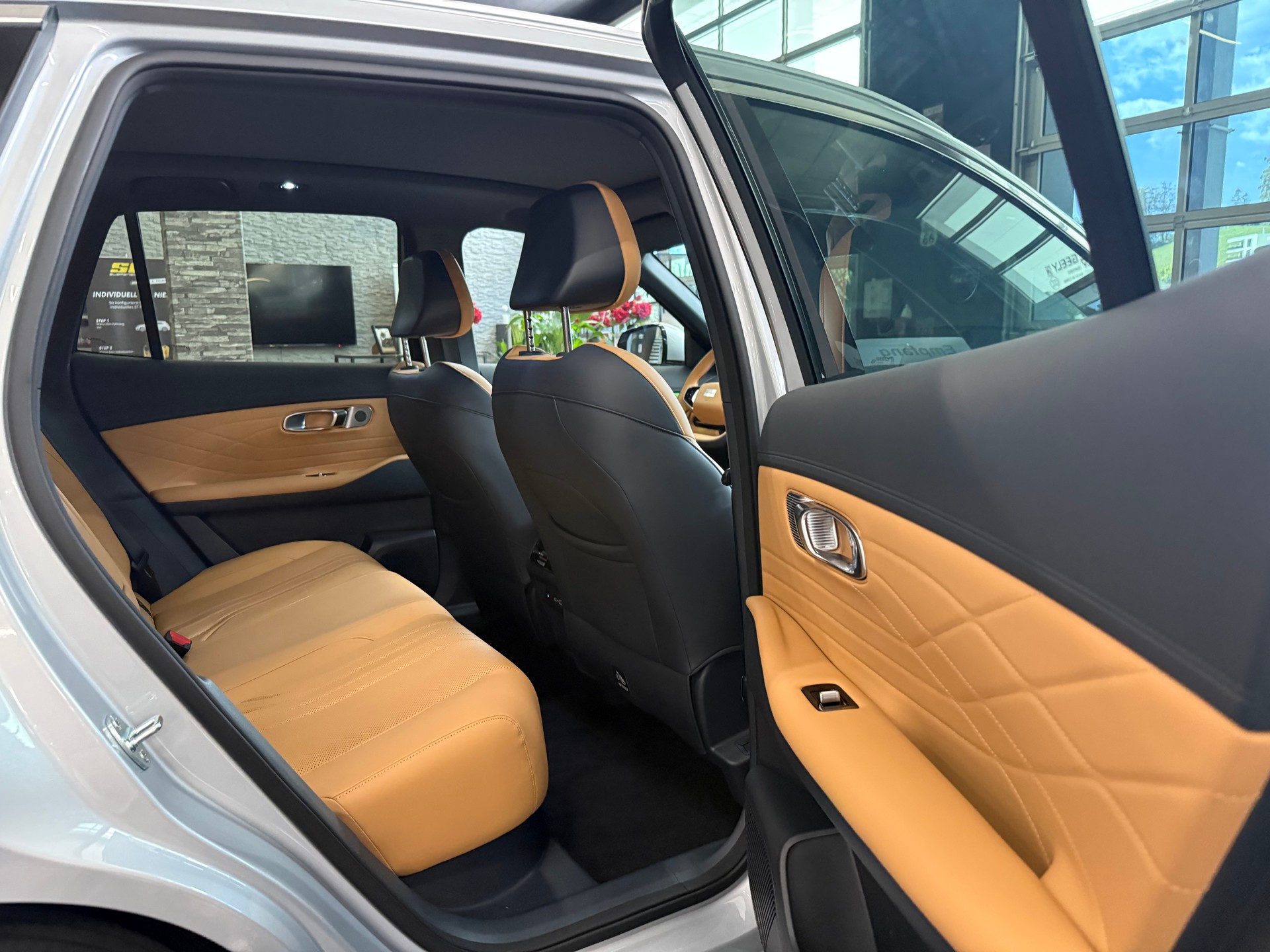 GEELY Starray EM-i MAX + PHEV-image-12