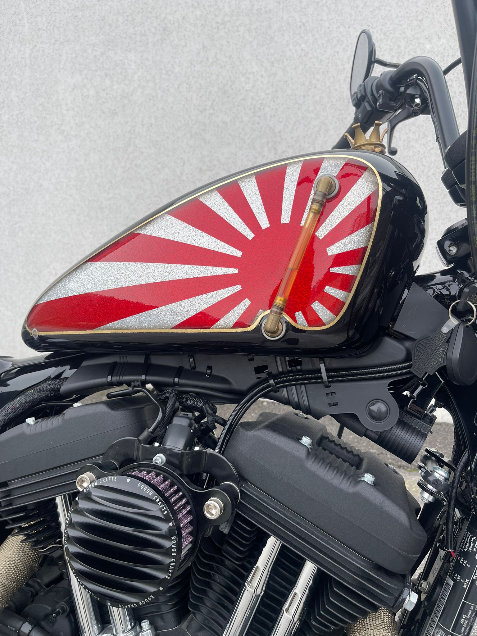 HARLEY-DAVIDSON XL 1200 NS Iron ABS-image-6