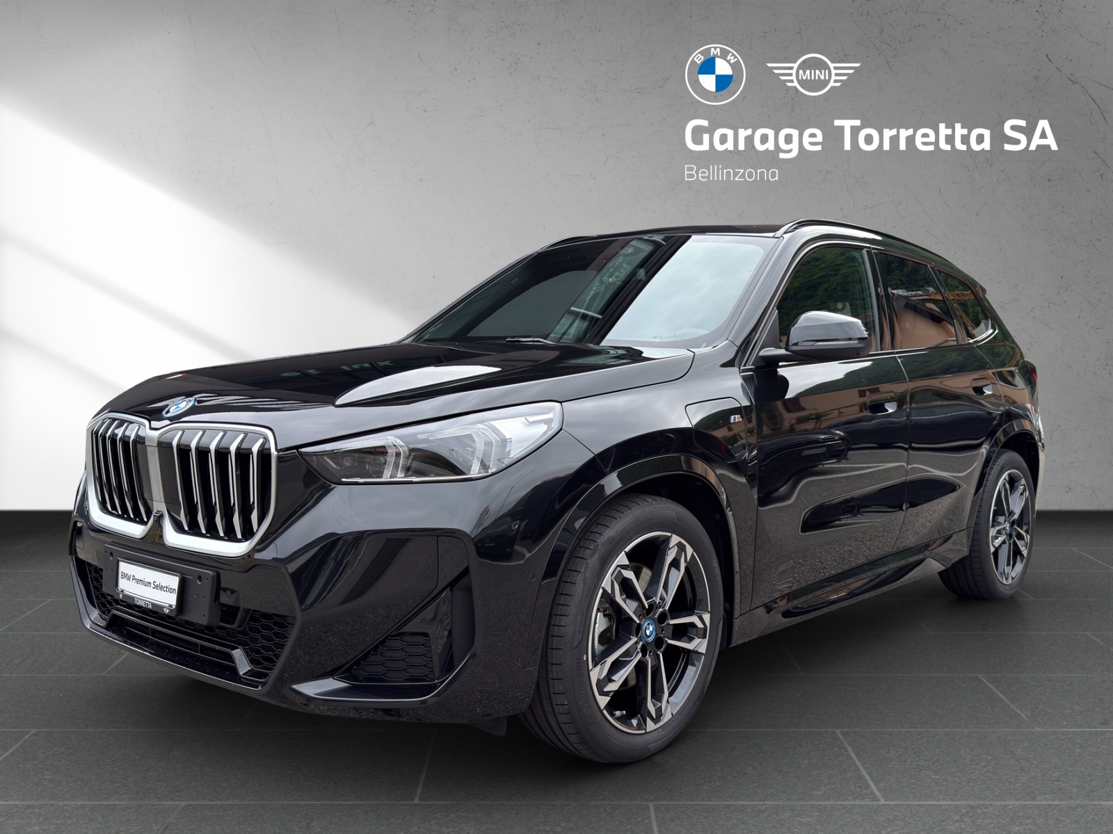 BMW X1 xDrive 30e M Sport