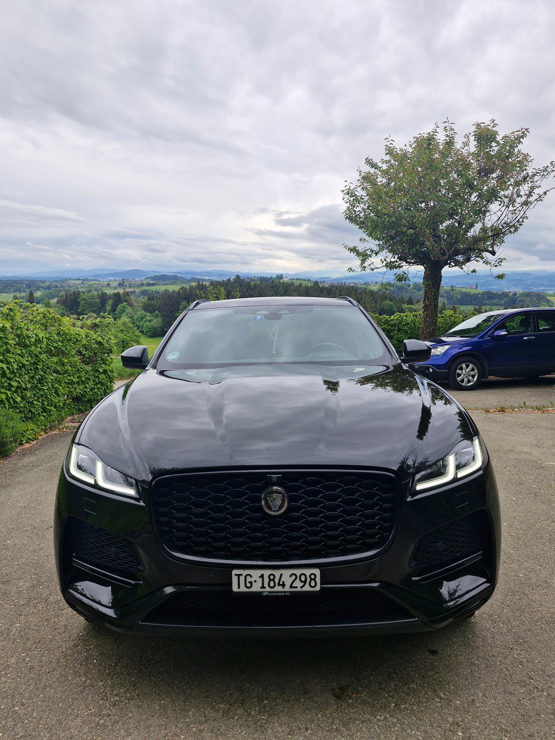 JAGUAR 2.0 PHEV R-Dyn. SE-image-1