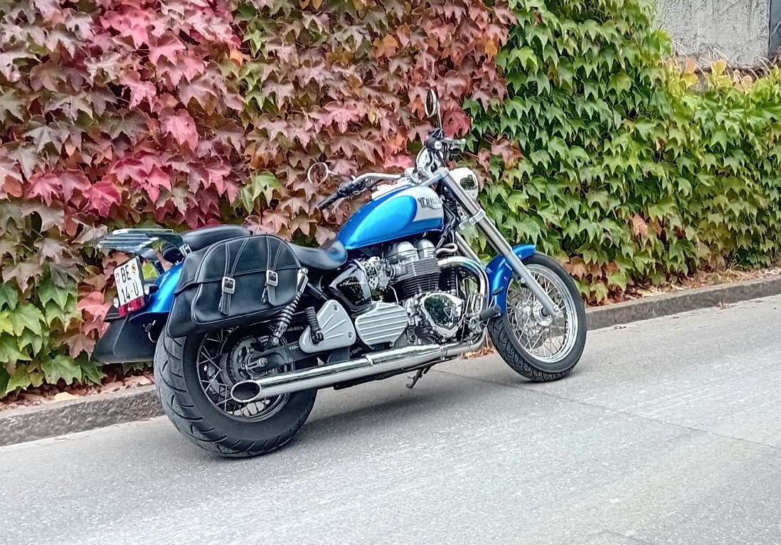 TRIUMPH Bonneville America 800-image-2