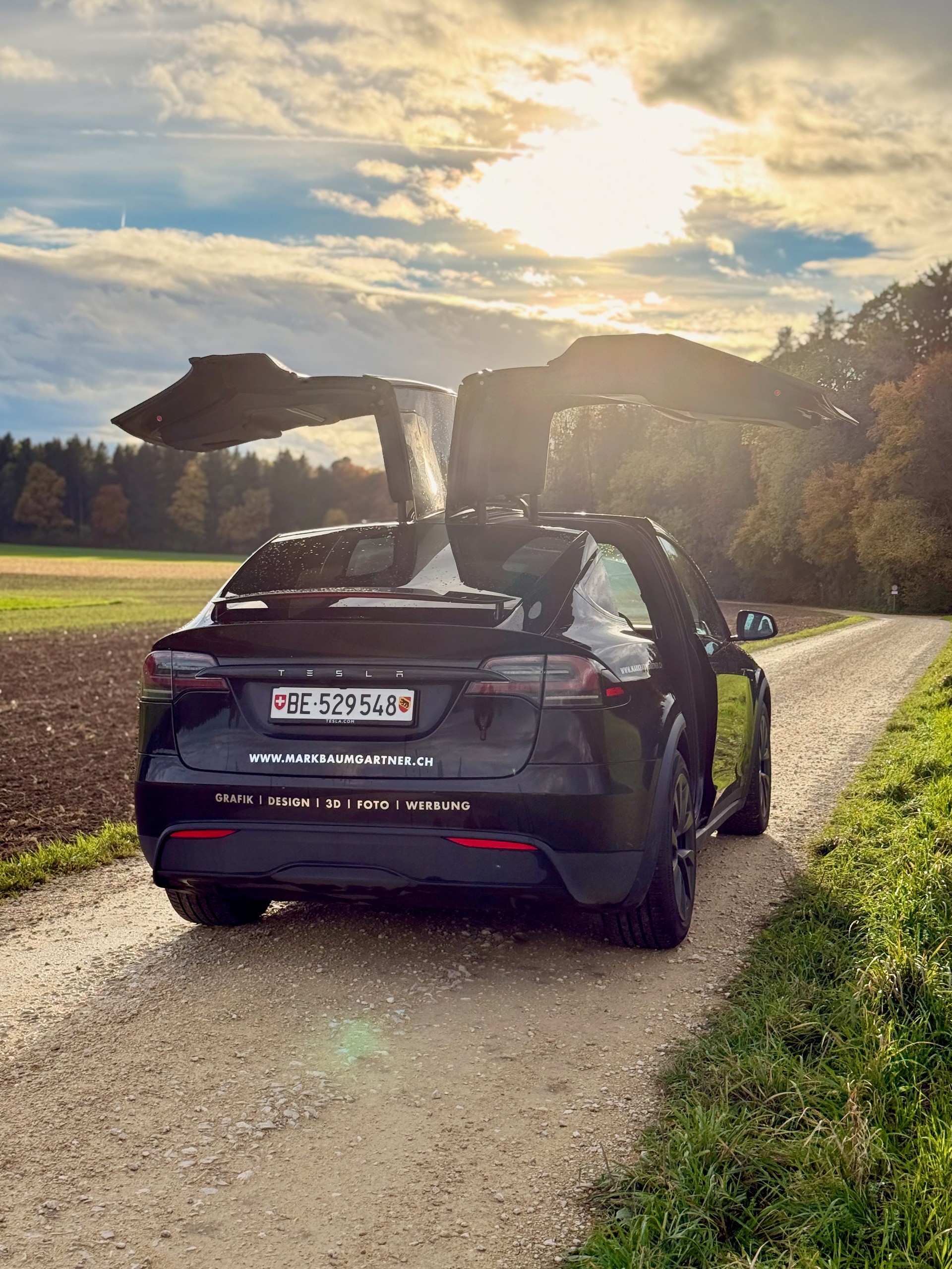 TESLA Model X Long Range-image-6