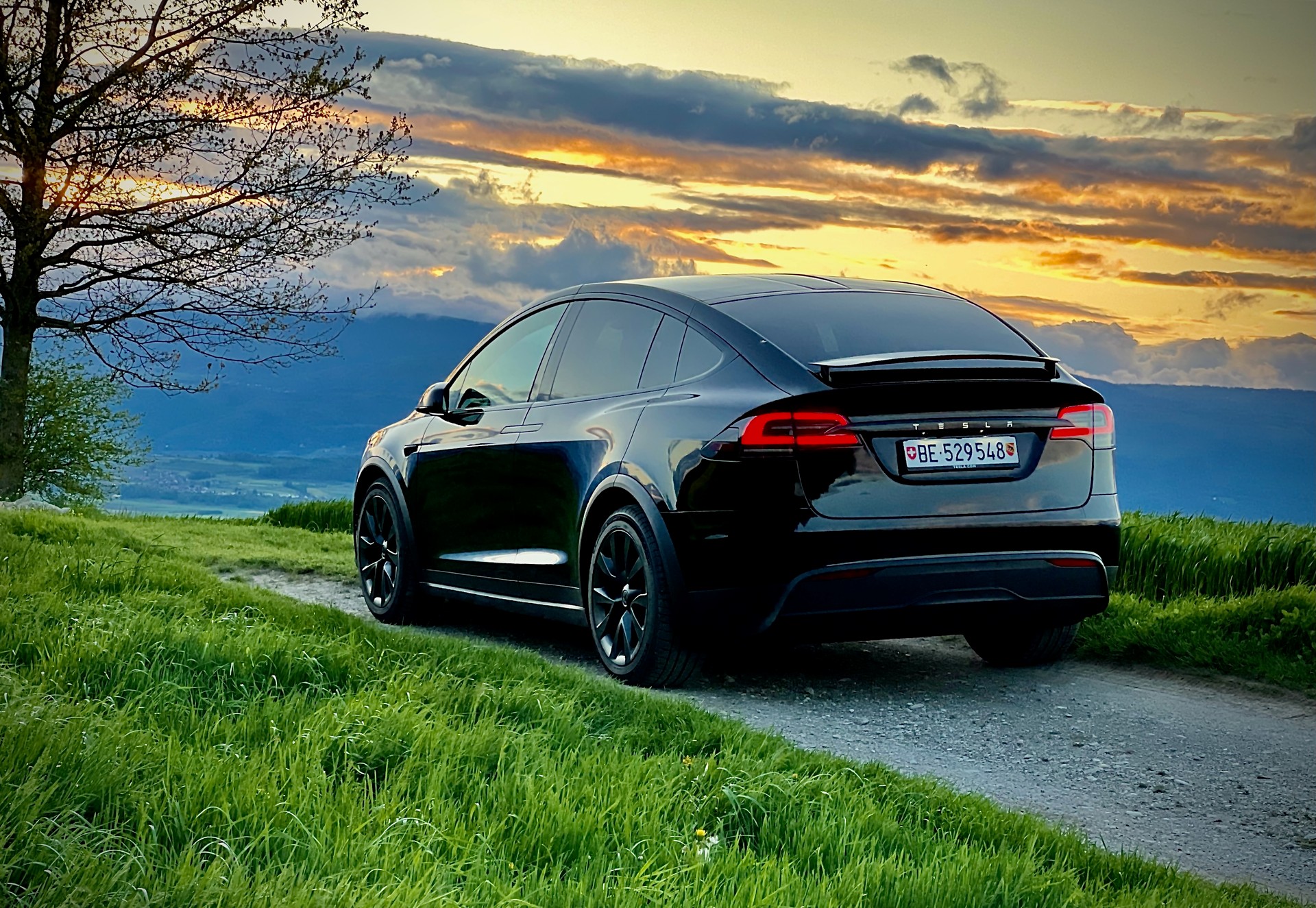TESLA Model X Long Range-image-8