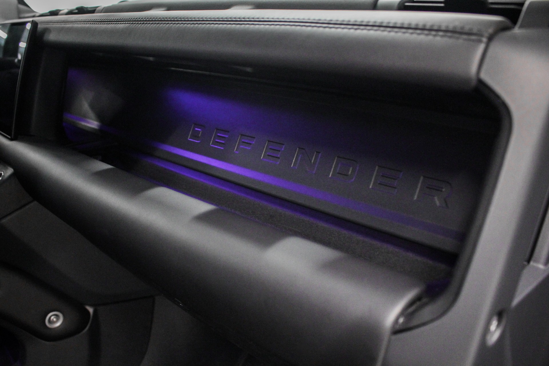 LAND ROVER Defender 110 3.0 D I6 300 X-Dynamic HSE AWD AT8-image-12