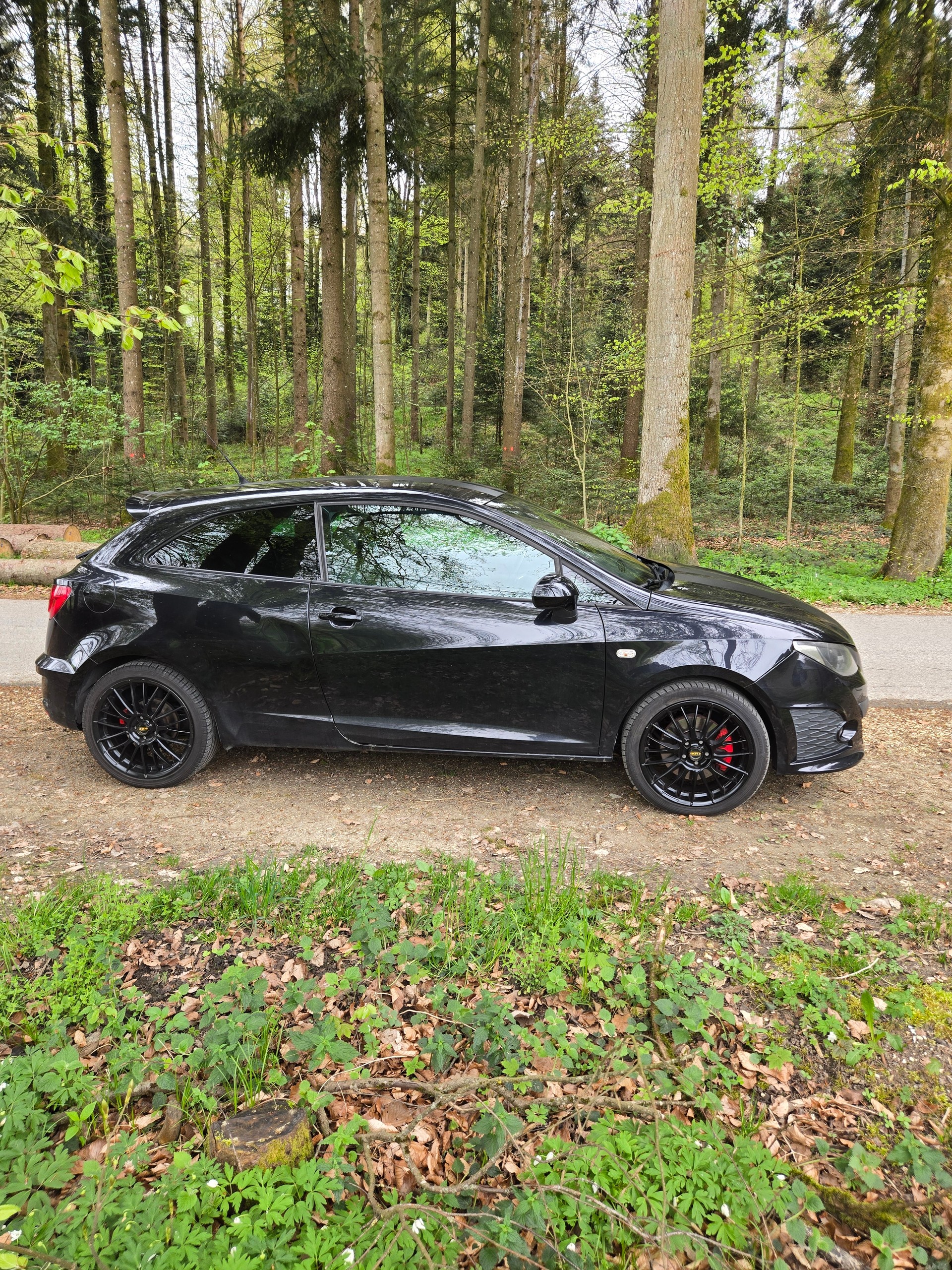 SEAT Ibiza SC 1.4 TSI Cupra R210 Swiss Racing DSG / Frisch ab Mfk-image-4