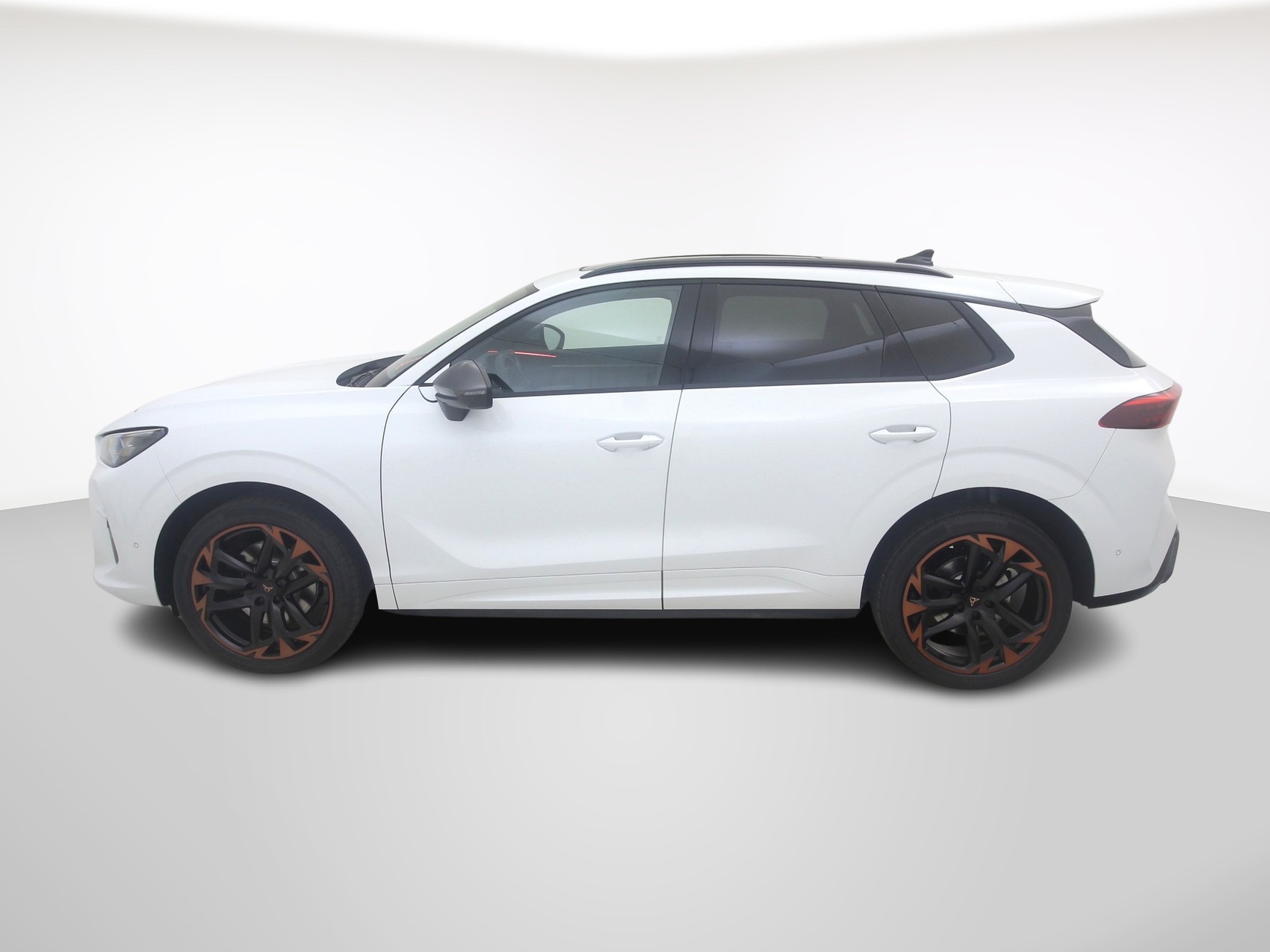 CUPRA Terramar 2.0 TSI 4Drive DSG-showroom-element-1