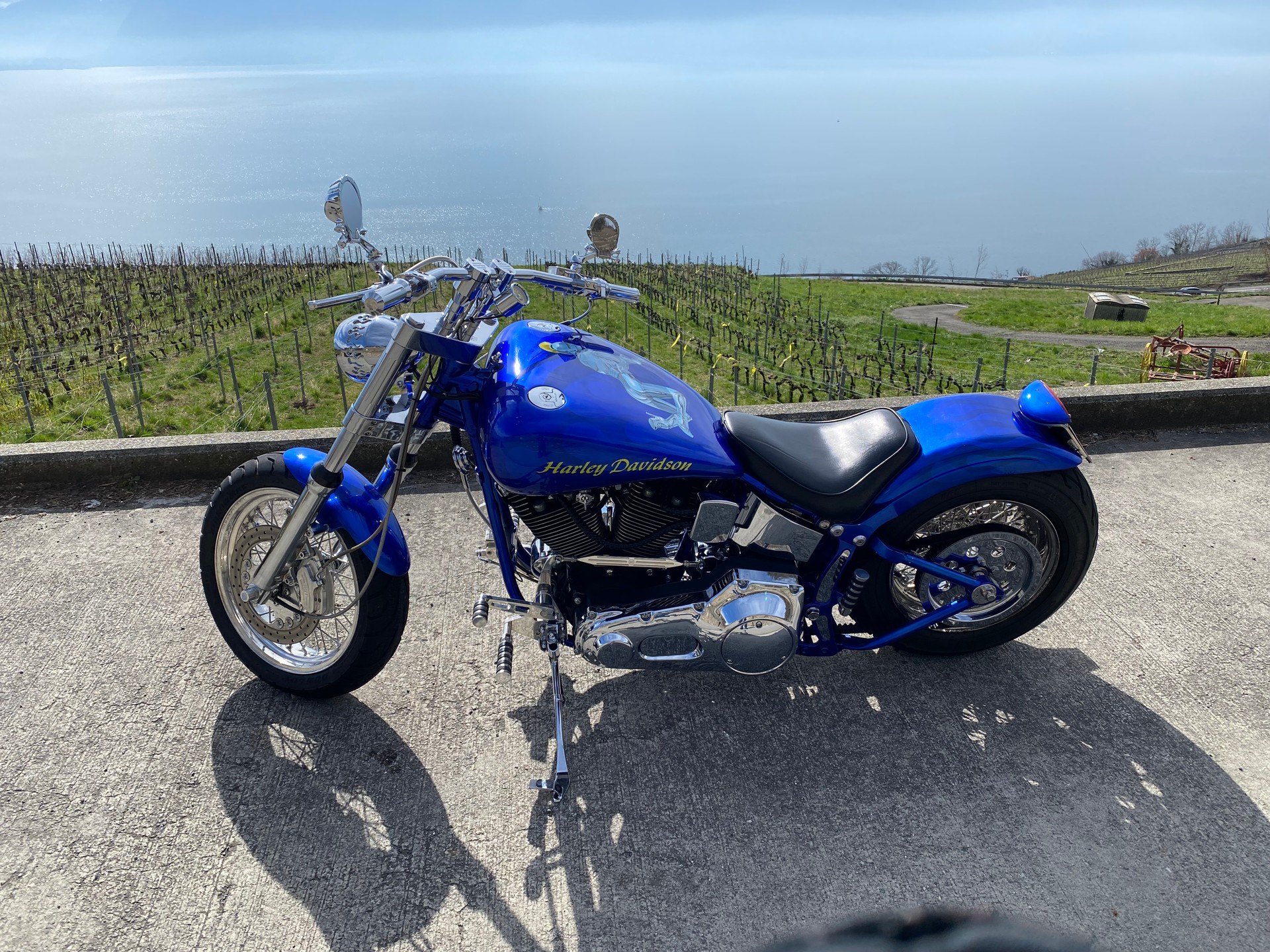 HARLEY-DAVIDSON FXSTC Softail Custom-image-11