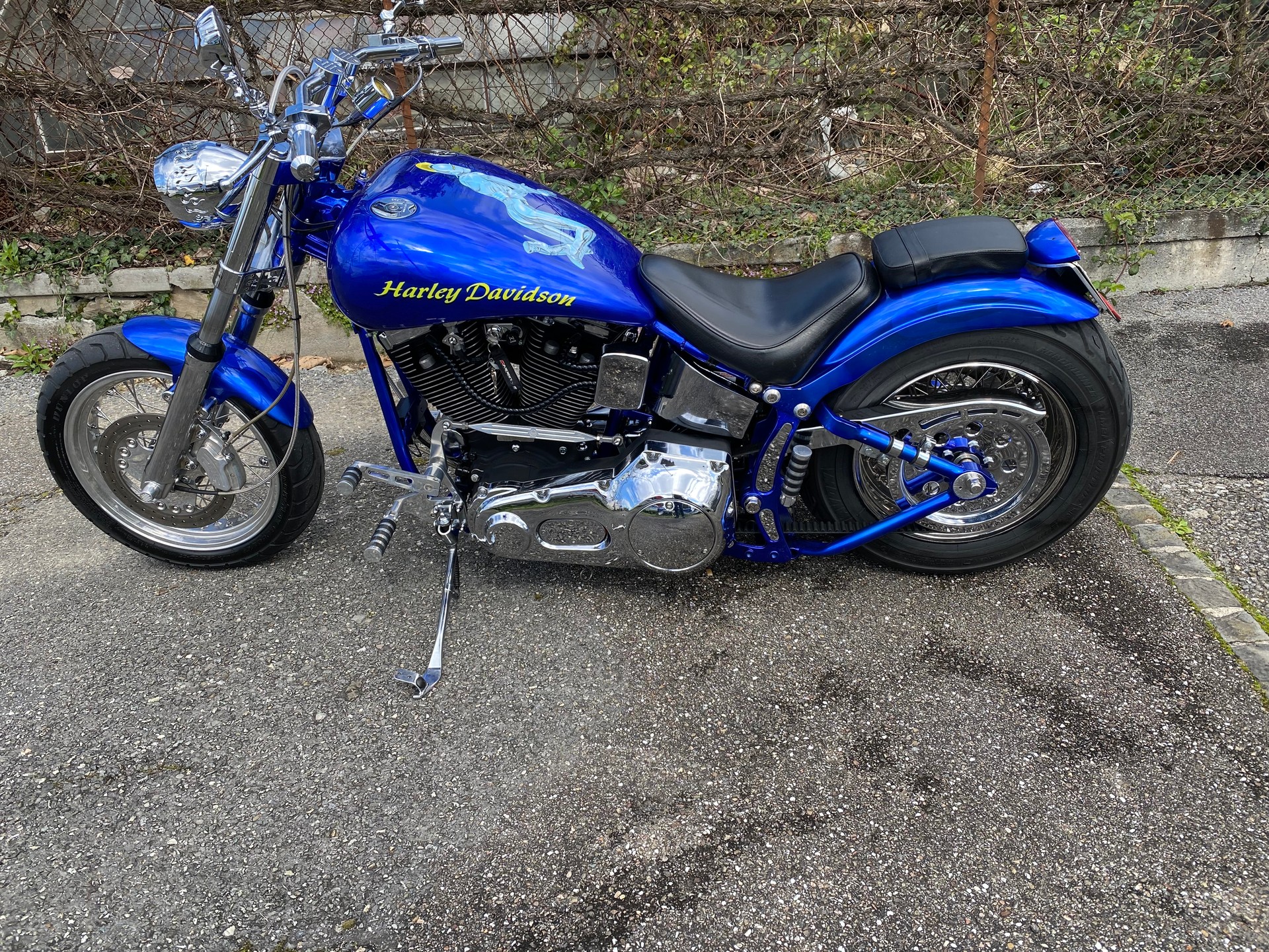 HARLEY-DAVIDSON FXSTC Softail Custom-image-9