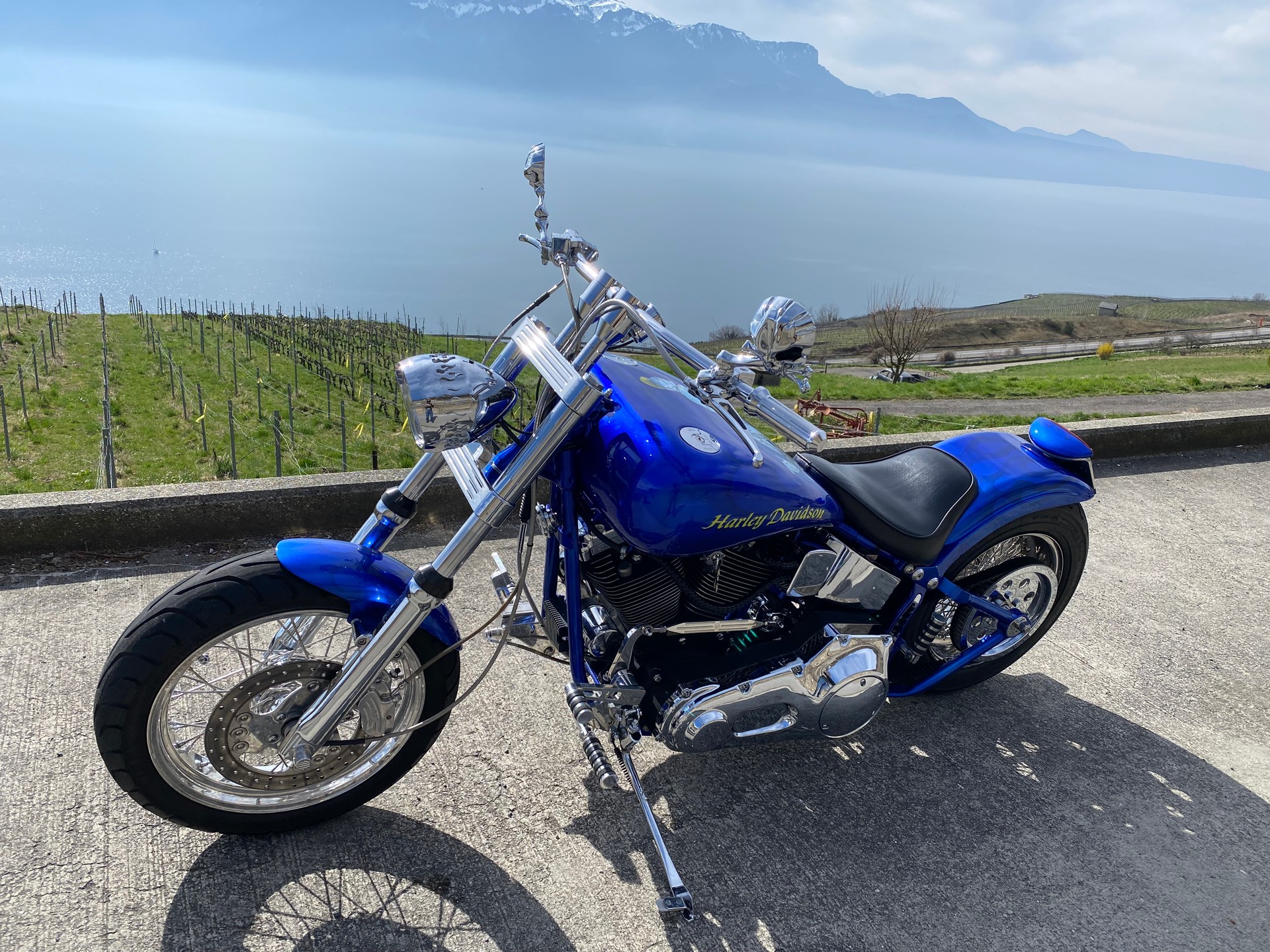 HARLEY-DAVIDSON FXSTC Softail Custom-image-7