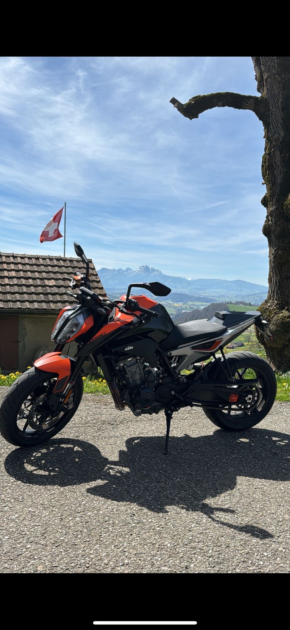 KTM 790 Duke-image-5
