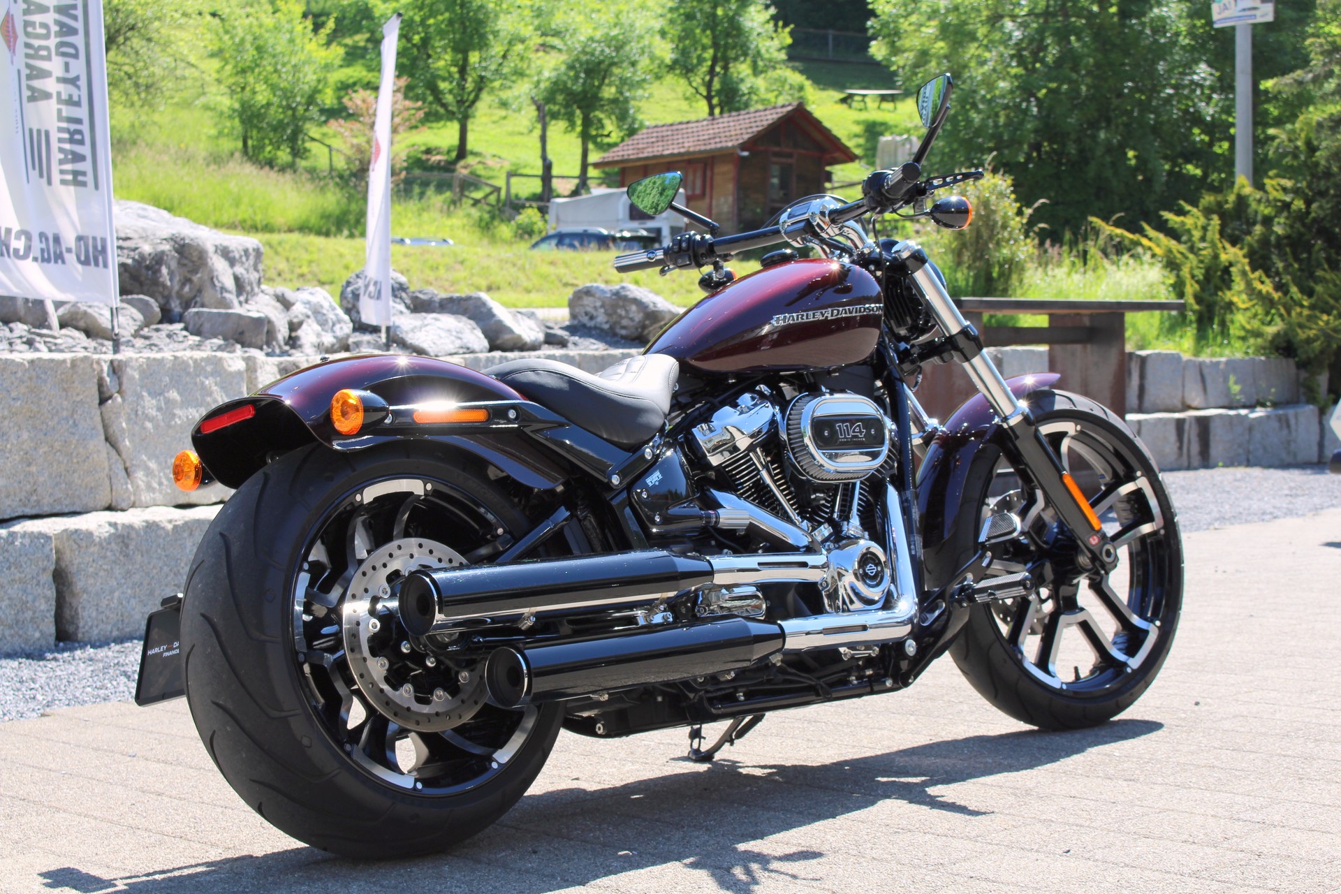 HARLEY-DAVIDSON FXBRS Breakout 114-image-2